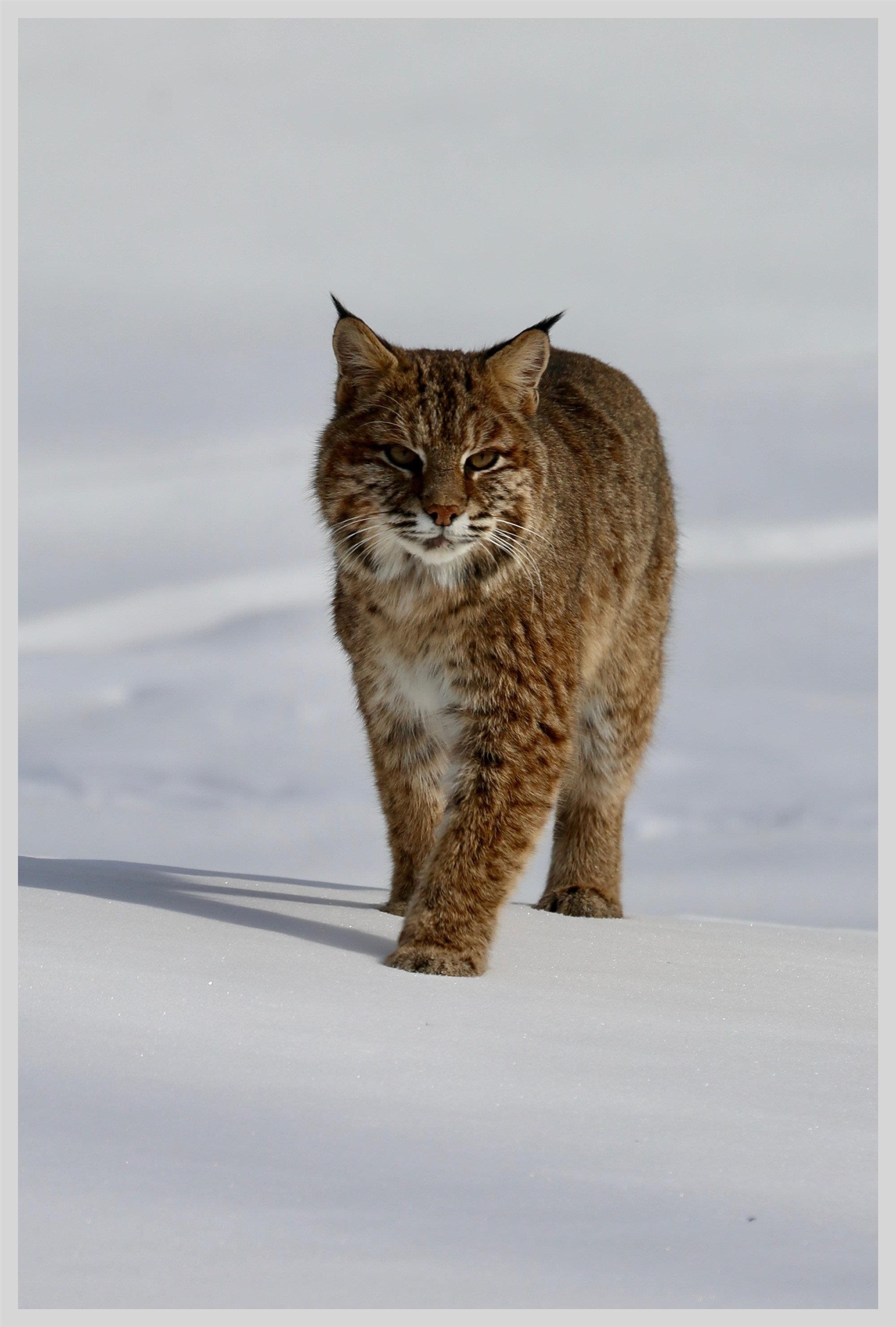 21 Quarry Rd, Campton, NH 03223