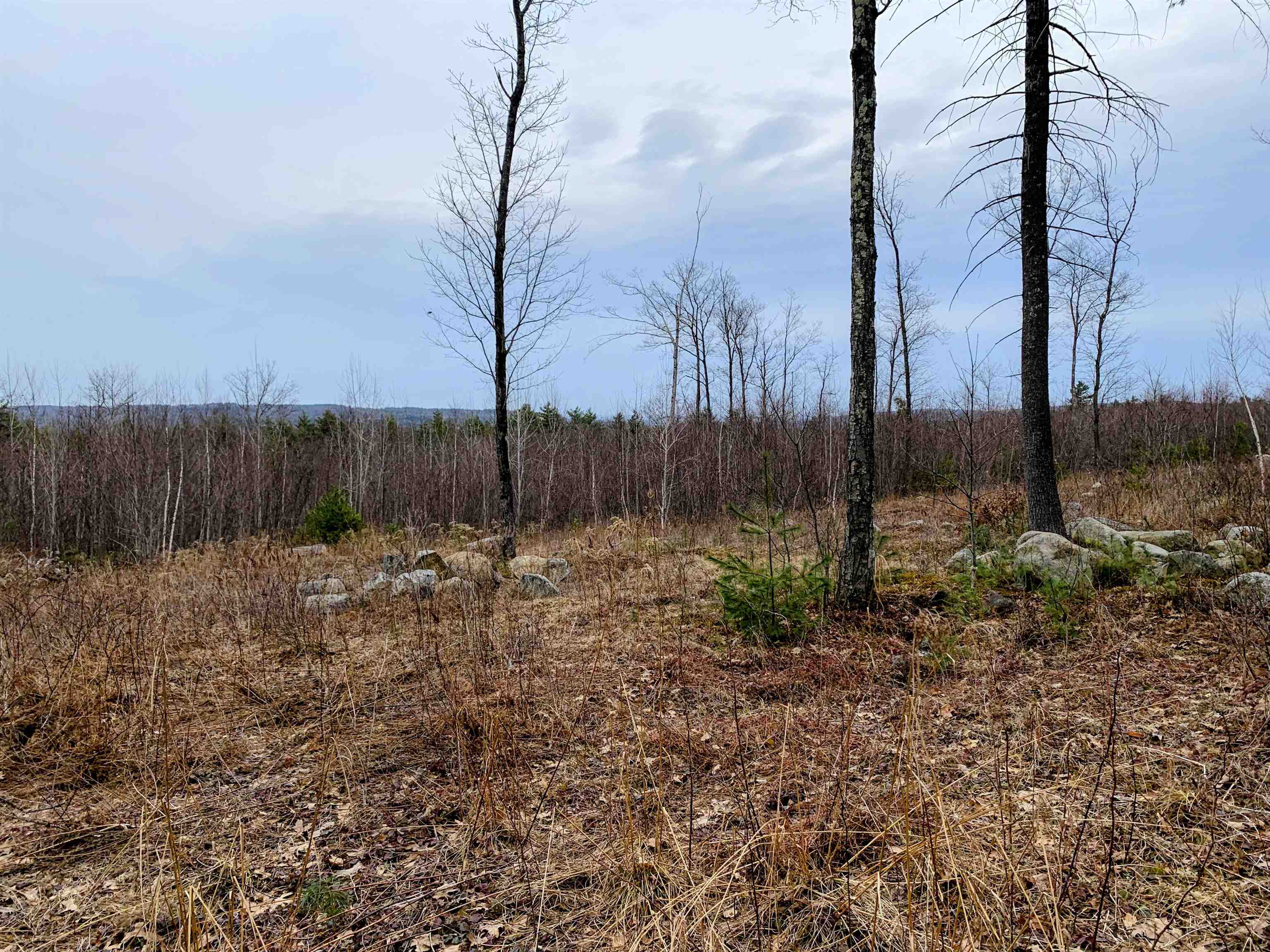 58-6-2 Duggin Rd, Wilton, NH 03086