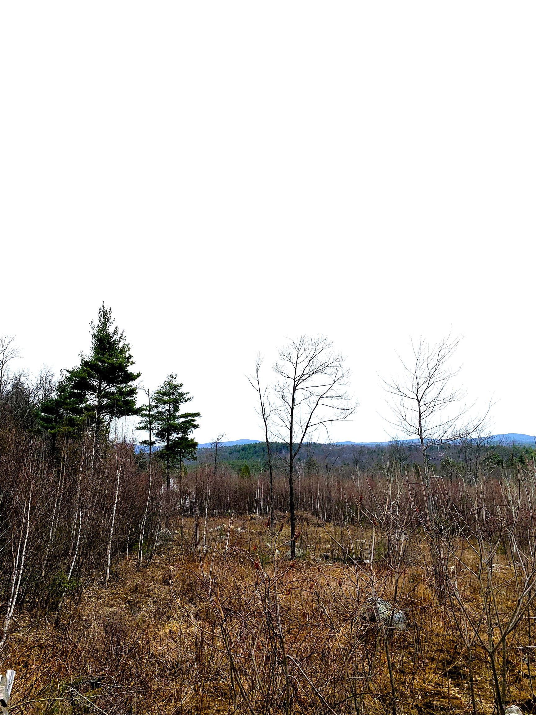 58-6-2 Duggin Rd, Wilton, NH 03086