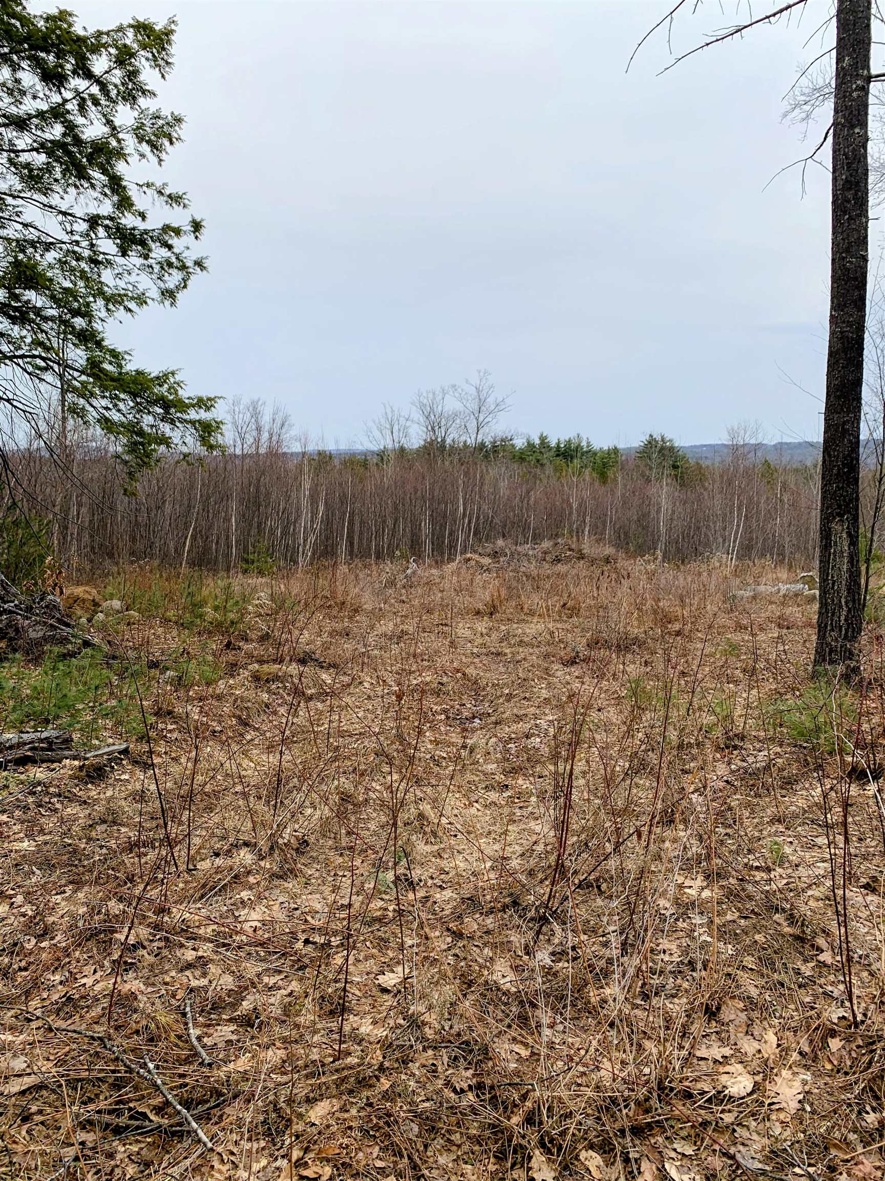 58-6-2 Duggin Rd, Wilton, NH 03086