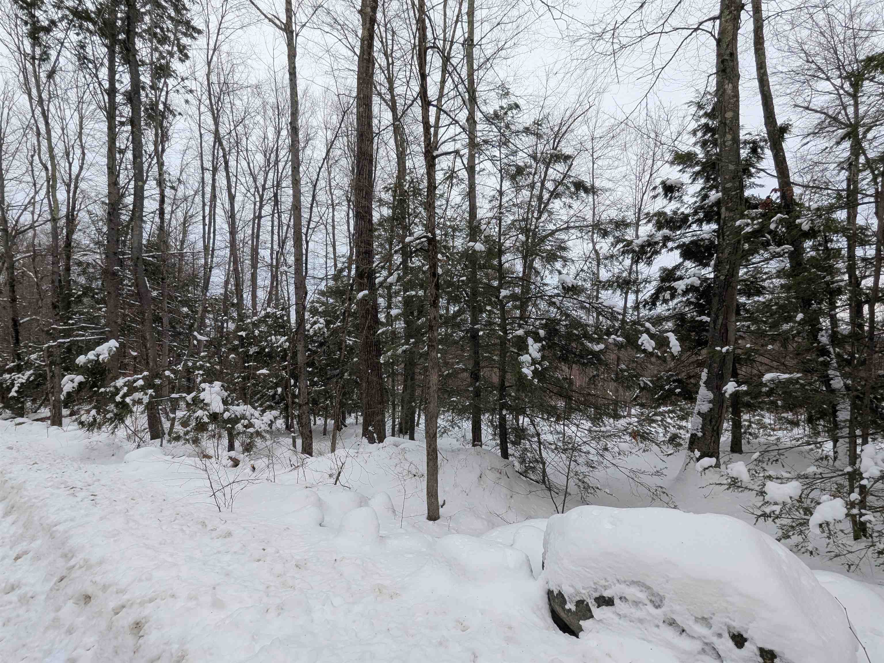 58-6-2 Duggin Rd, Wilton, NH 03086