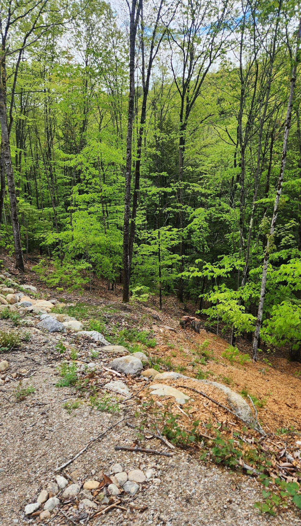 0 Moulton Rd, Freedom, NH 03836