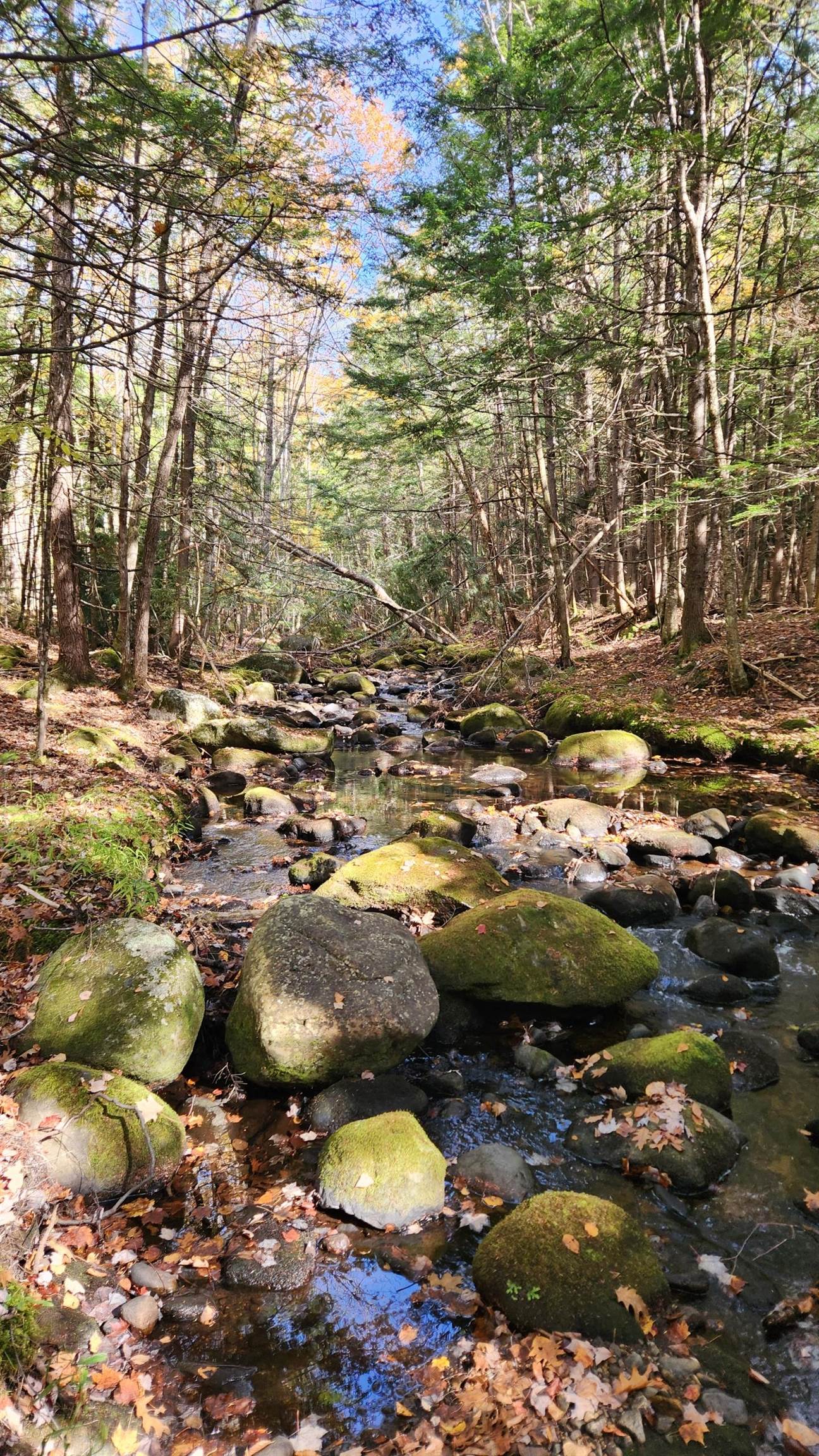 0 Moulton Rd, Freedom, NH 03836