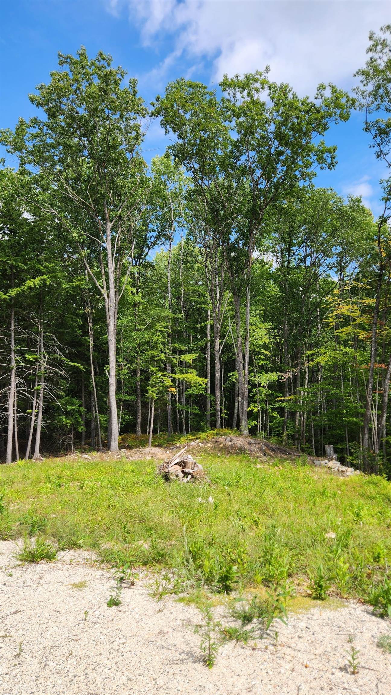 0 Moulton Rd, Freedom, NH 03836