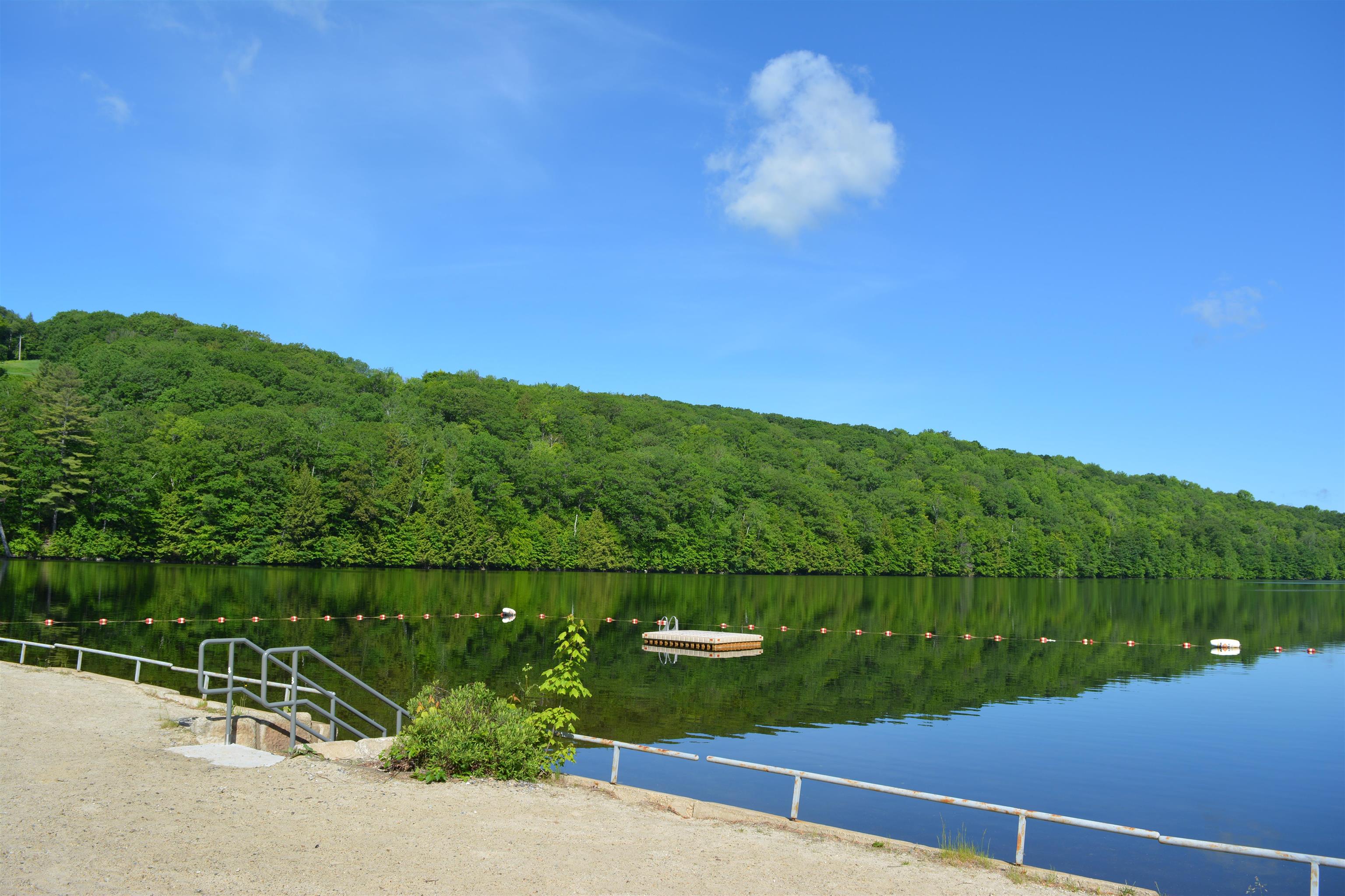 22 Brookridge Dr, Grantham, NH 03753