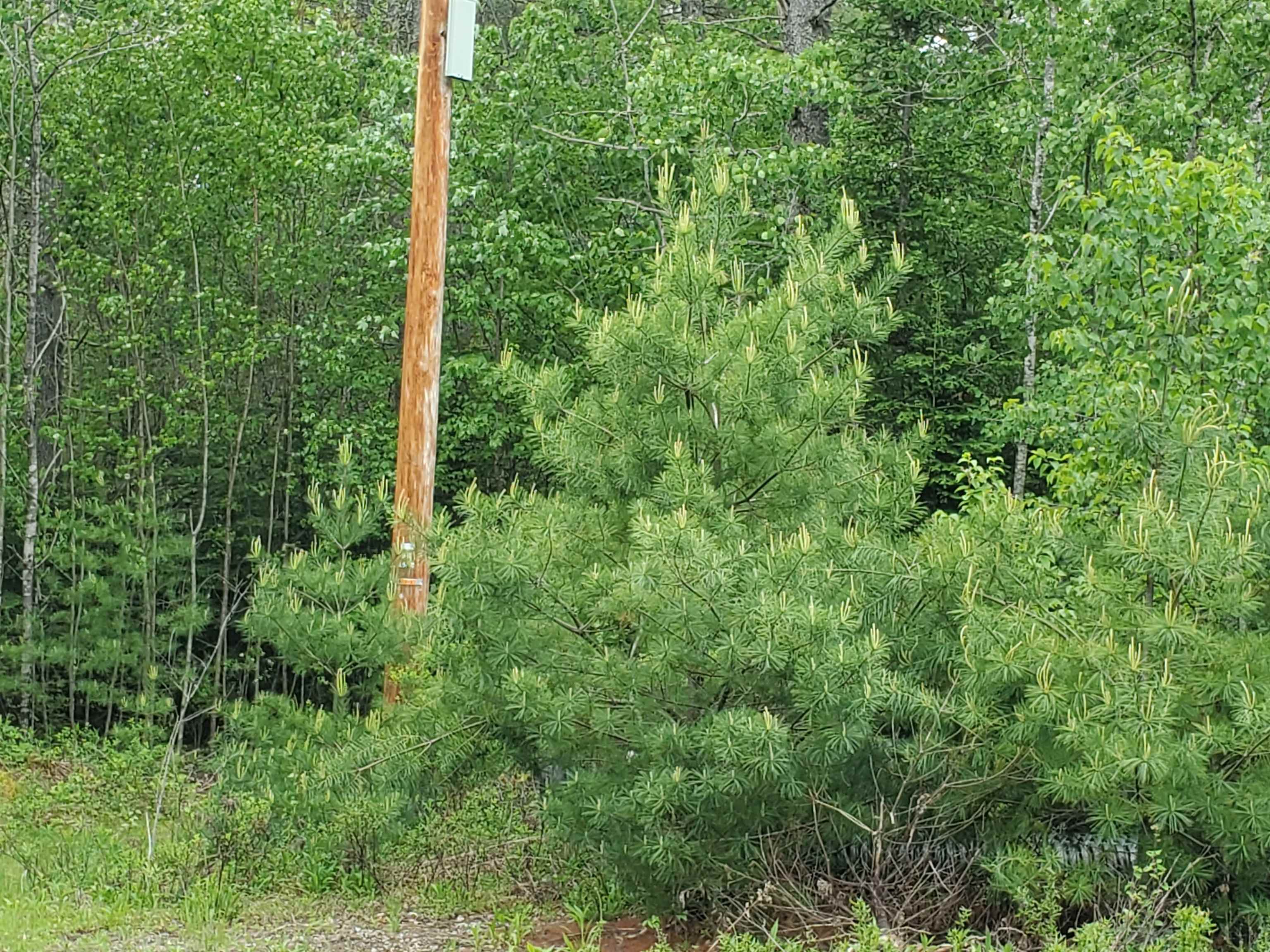 21 Granite Way, Canaan, NH 03741