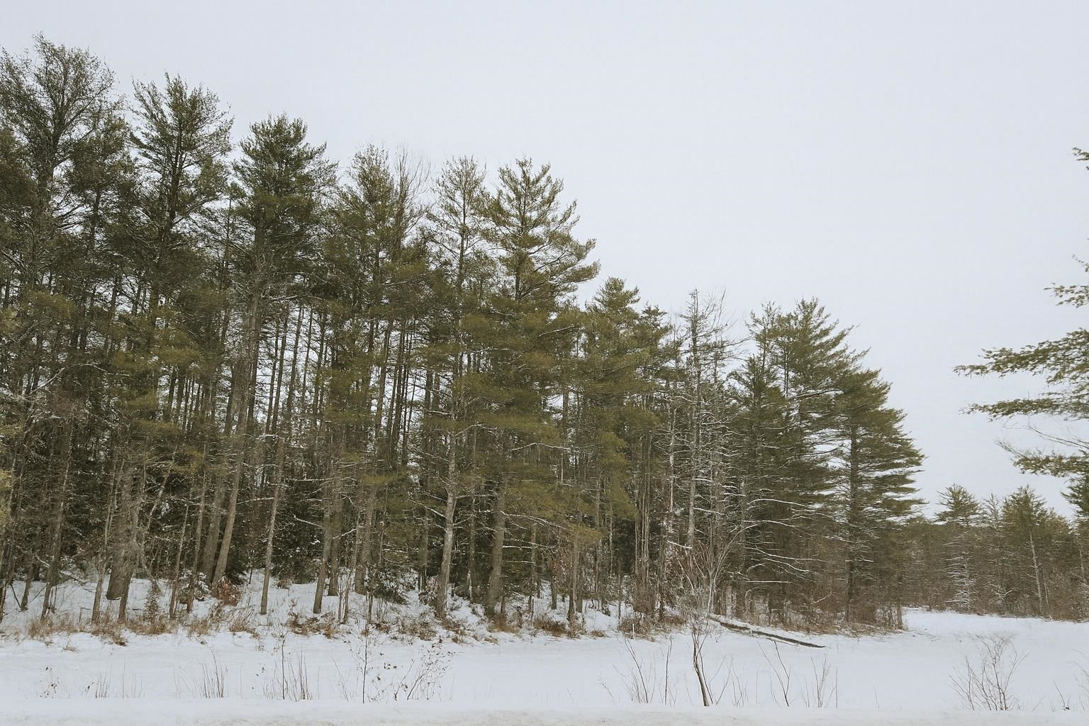 179 Chickville Rd, Ossipee, NH 03864