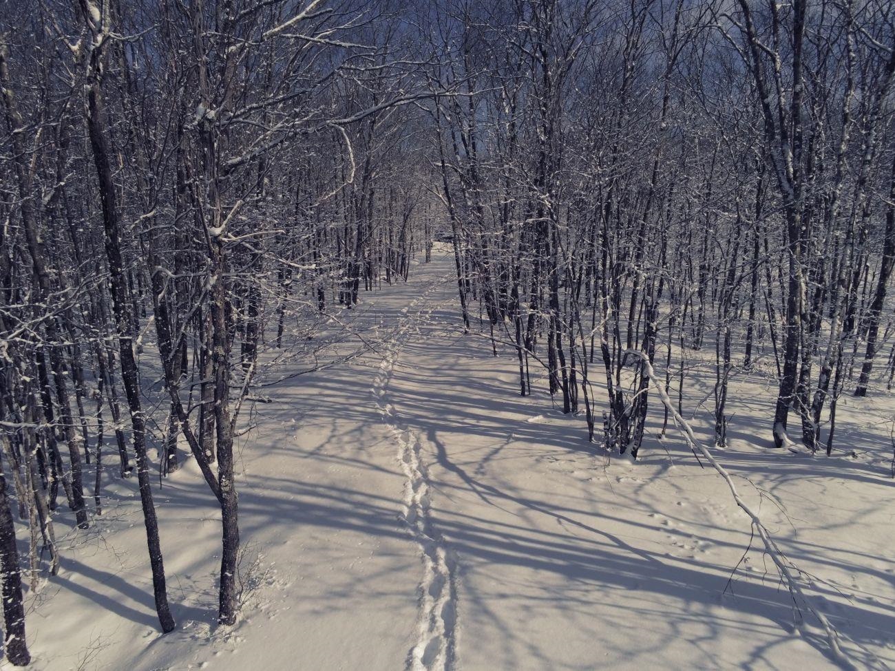 Homes for sale in Lempster, NH | 0 Earls Ln, Lempster, NH 03605 | MLS# 5074864