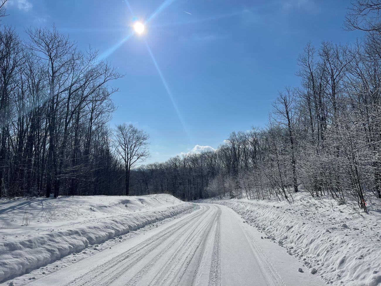 Homes for sale in Lempster, NH | 0 Earls Ln, Lempster, NH 03605 | MLS# 5074864