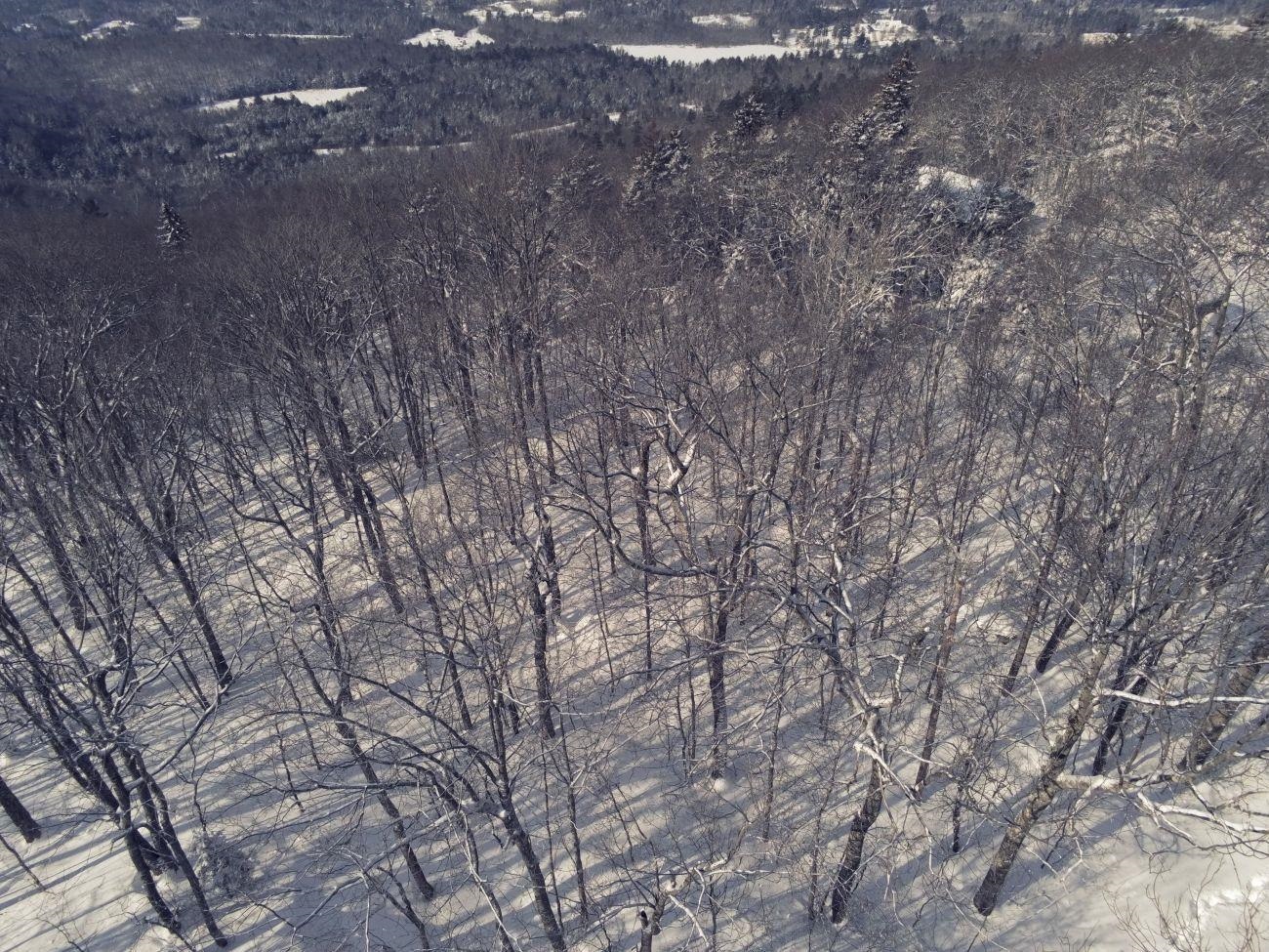 Homes for sale in Lempster, NH | 0 Earls Ln, Lempster, NH 03605 | MLS# 5074864