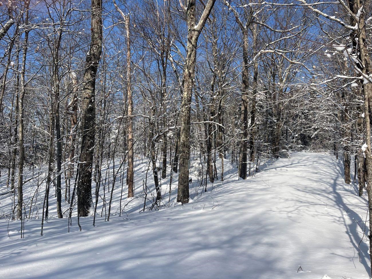 0 Earls Ln, Lempster, NH 03605