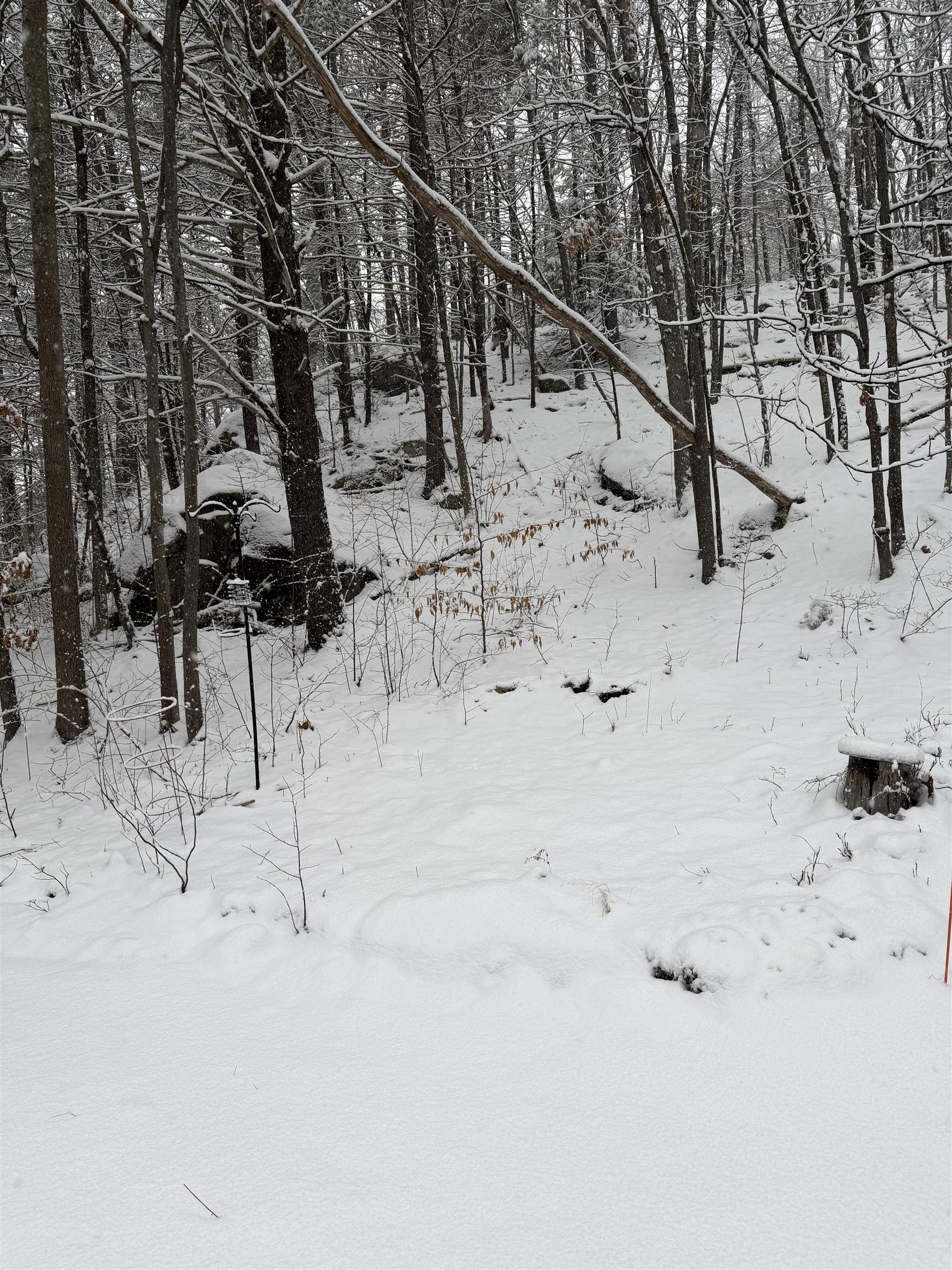 50 Great Hill Dr, Newmarket, NH 03857-2057