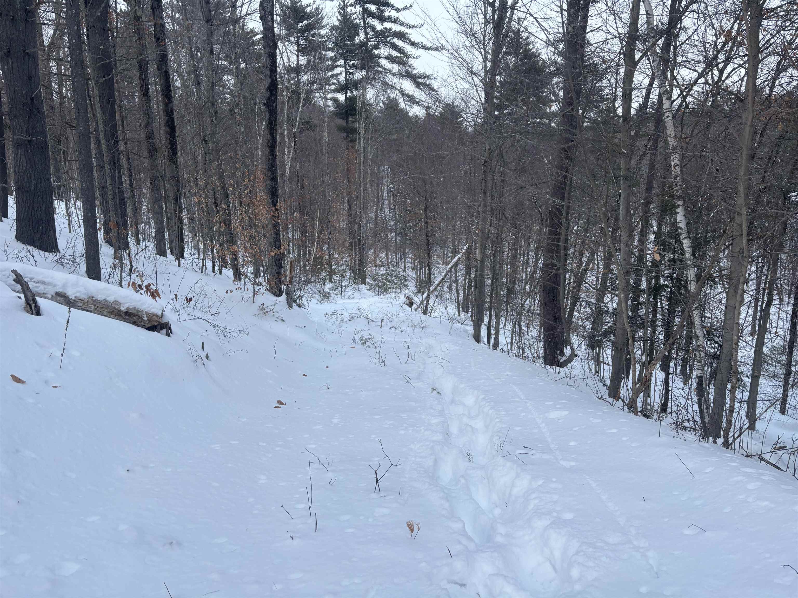 Homes for sale in Wolfeboro, NH | 004 Pine Hill Rd, Wolfeboro, NH 03894 | MLS# 5074881