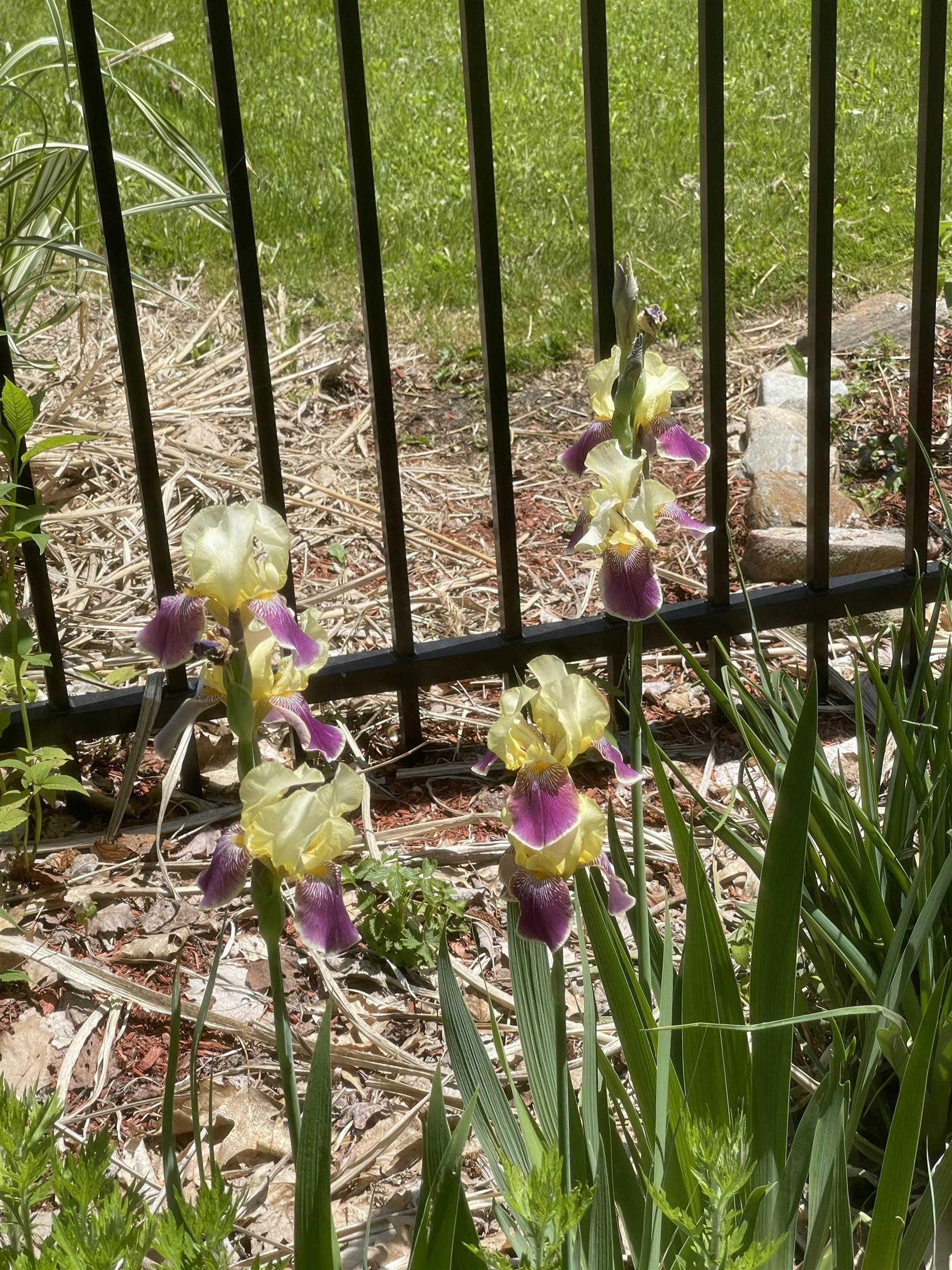 147 Hamwoods Rd, Alton, NH 03809