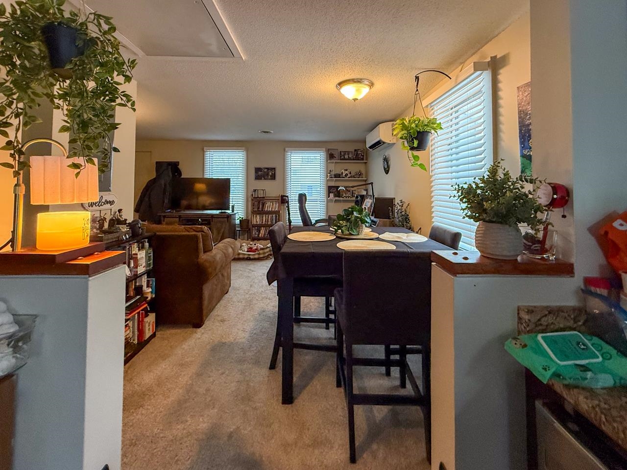 Kitchen to Living Room