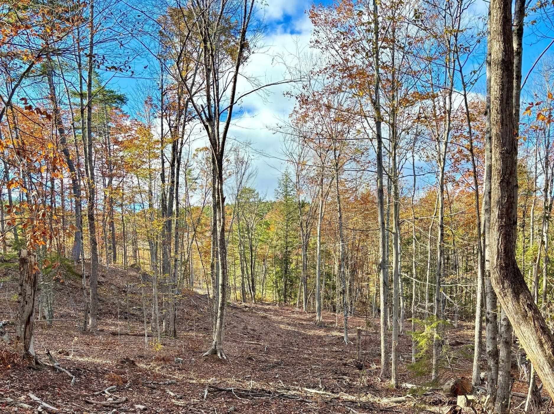 Deering NH&nbsp;Land for sale $$225,000 | 26.6 Acres  | Price Per Acre $0 