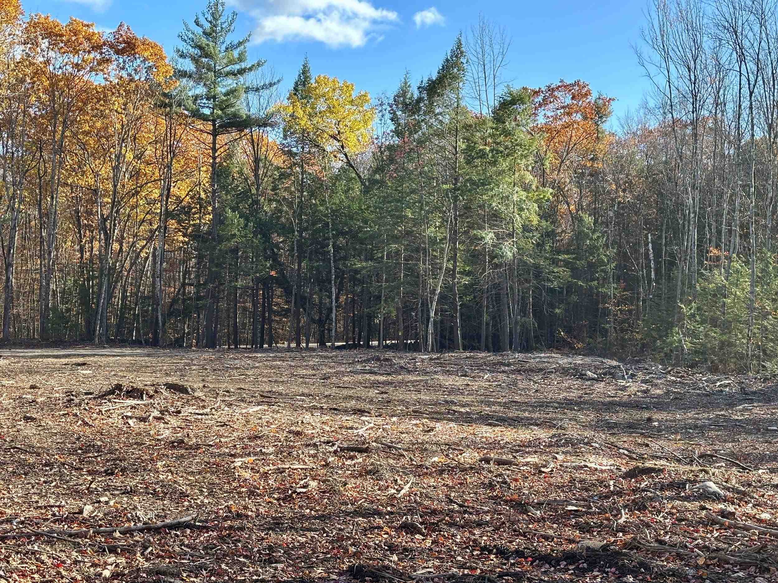 222-3 Fisher Rd, Deering, NH 03244