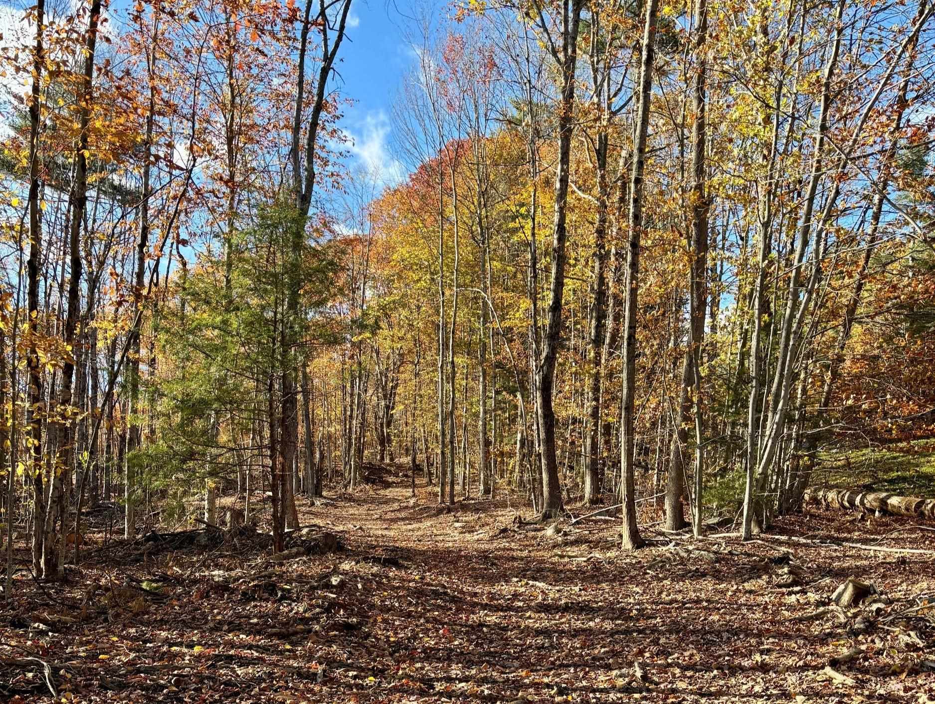 222-3 Fisher Rd, Deering, NH 03244