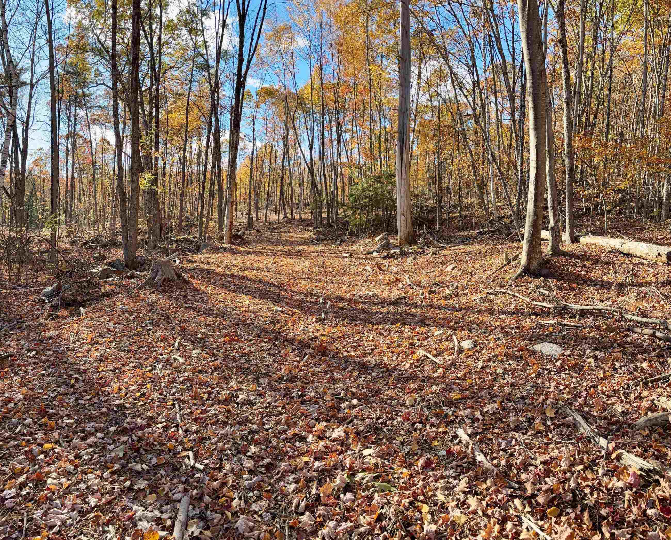 222-3 Fisher Rd, Deering, NH 03244