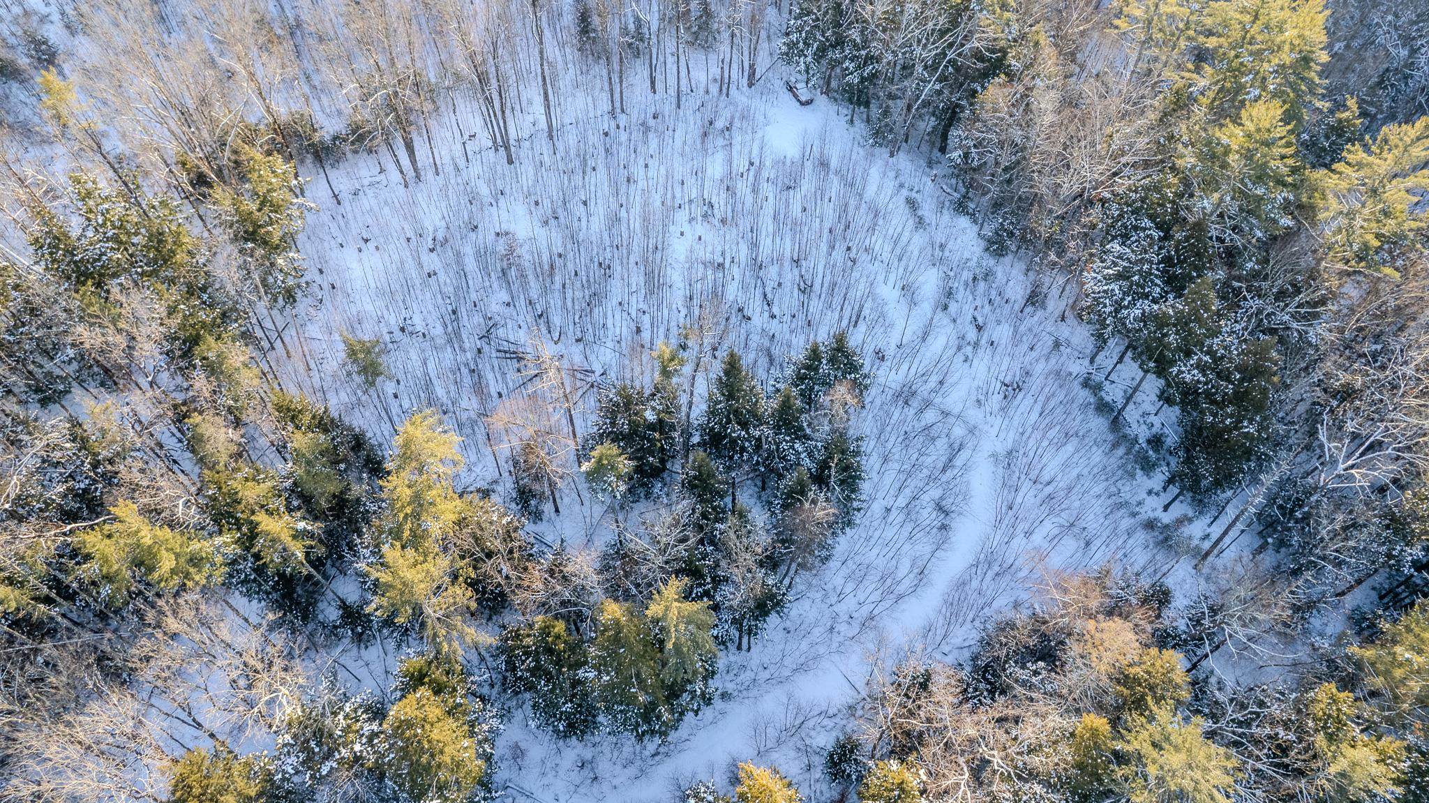 Alstead NH&nbsp;Land for sale $$125,000 | 4.8 Acres  | Price Per Acre $0  | Total Lots 2