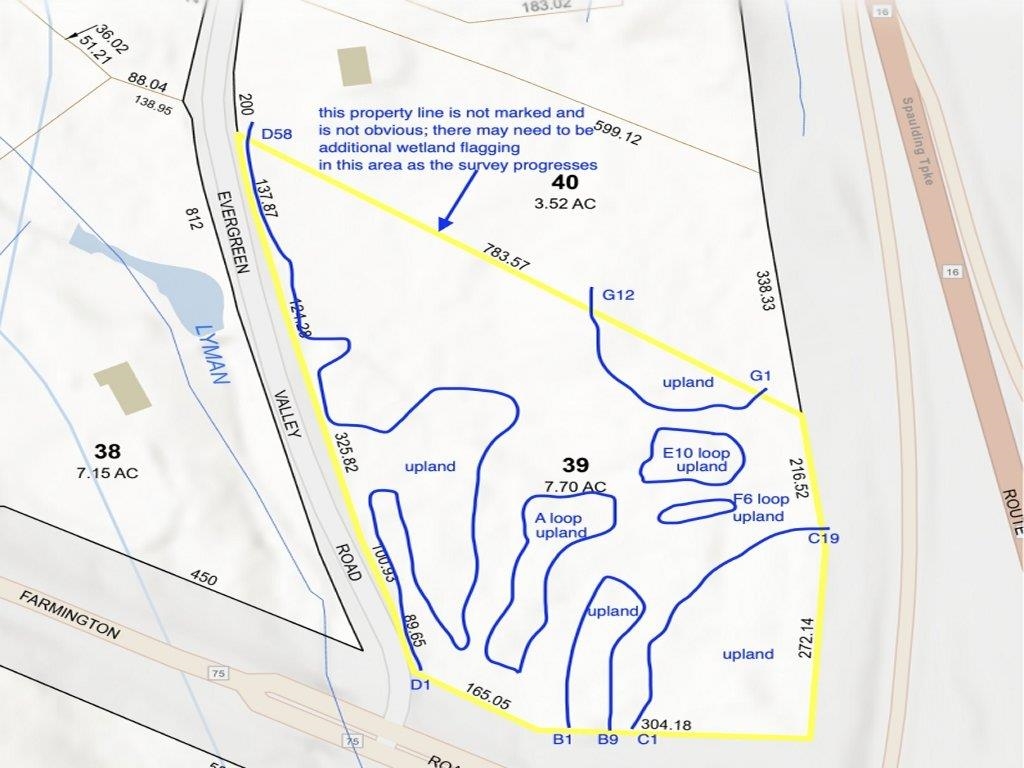 200 Farmington Rd, Milton, NH 03851