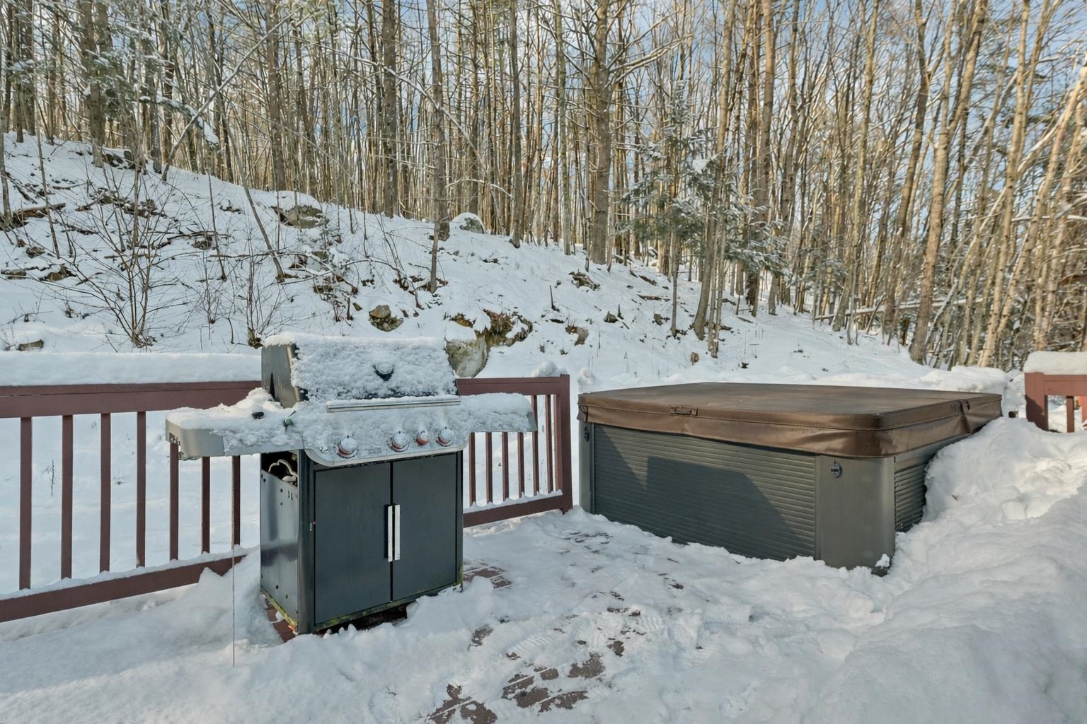 11 E Dunbarton Rd, Goffstown, NH 03045