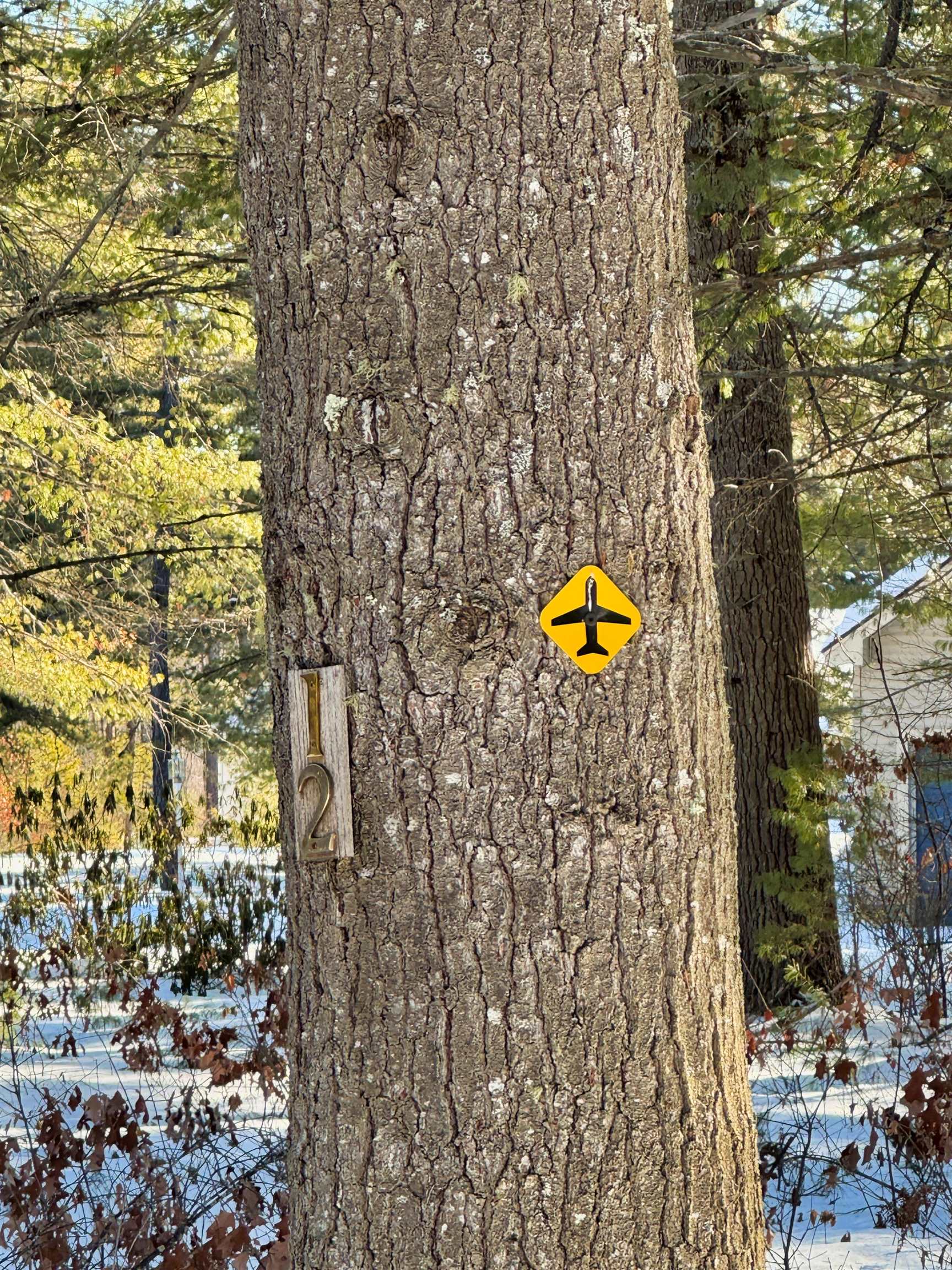 Homes for sale in Ossipee, NH | 12 Logan Wy, Ossipee, NH 03890 | MLS# 5075169