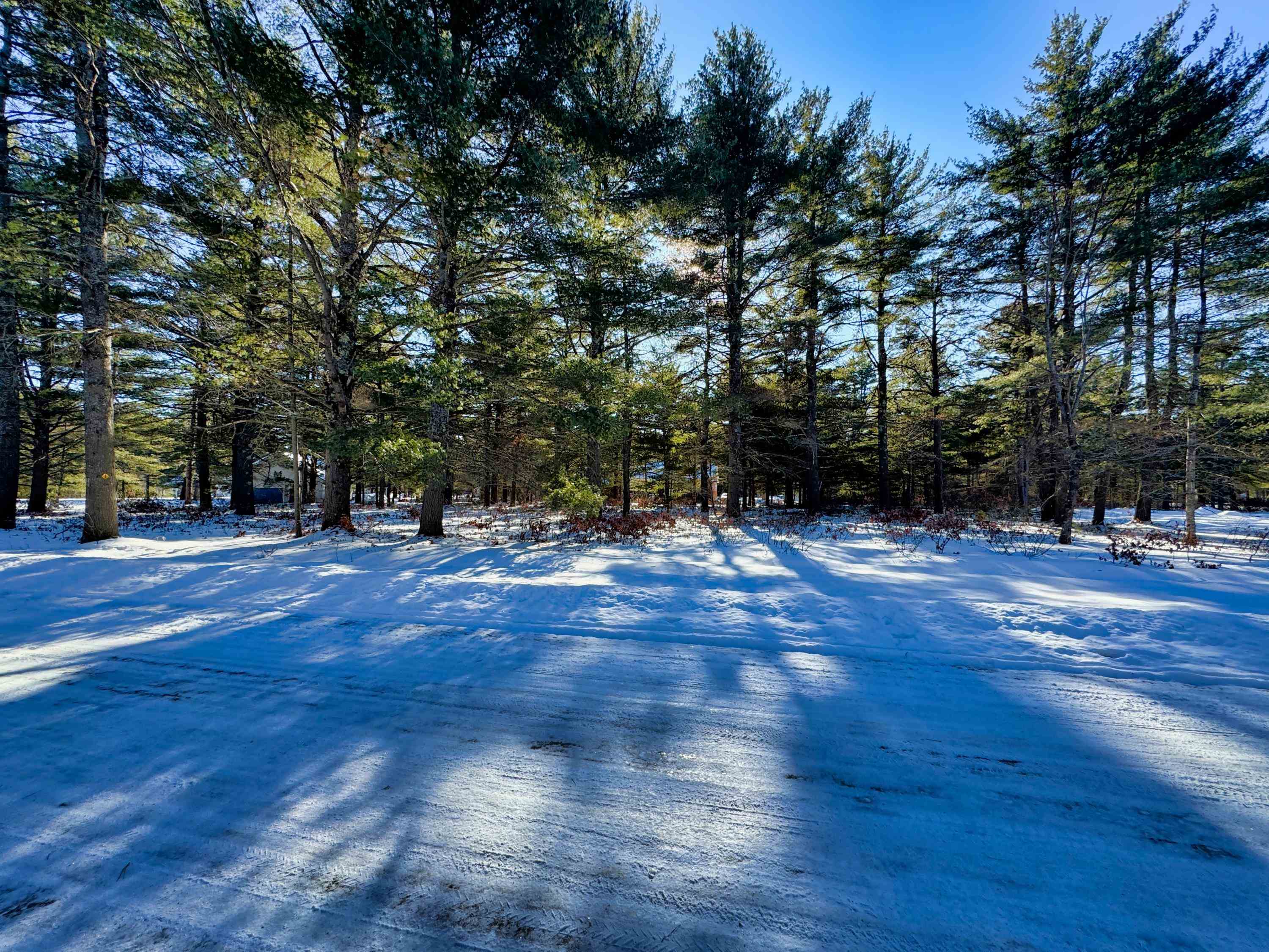 Homes for sale in Ossipee, NH | 12 Logan Wy, Ossipee, NH 03890 | MLS# 5075169