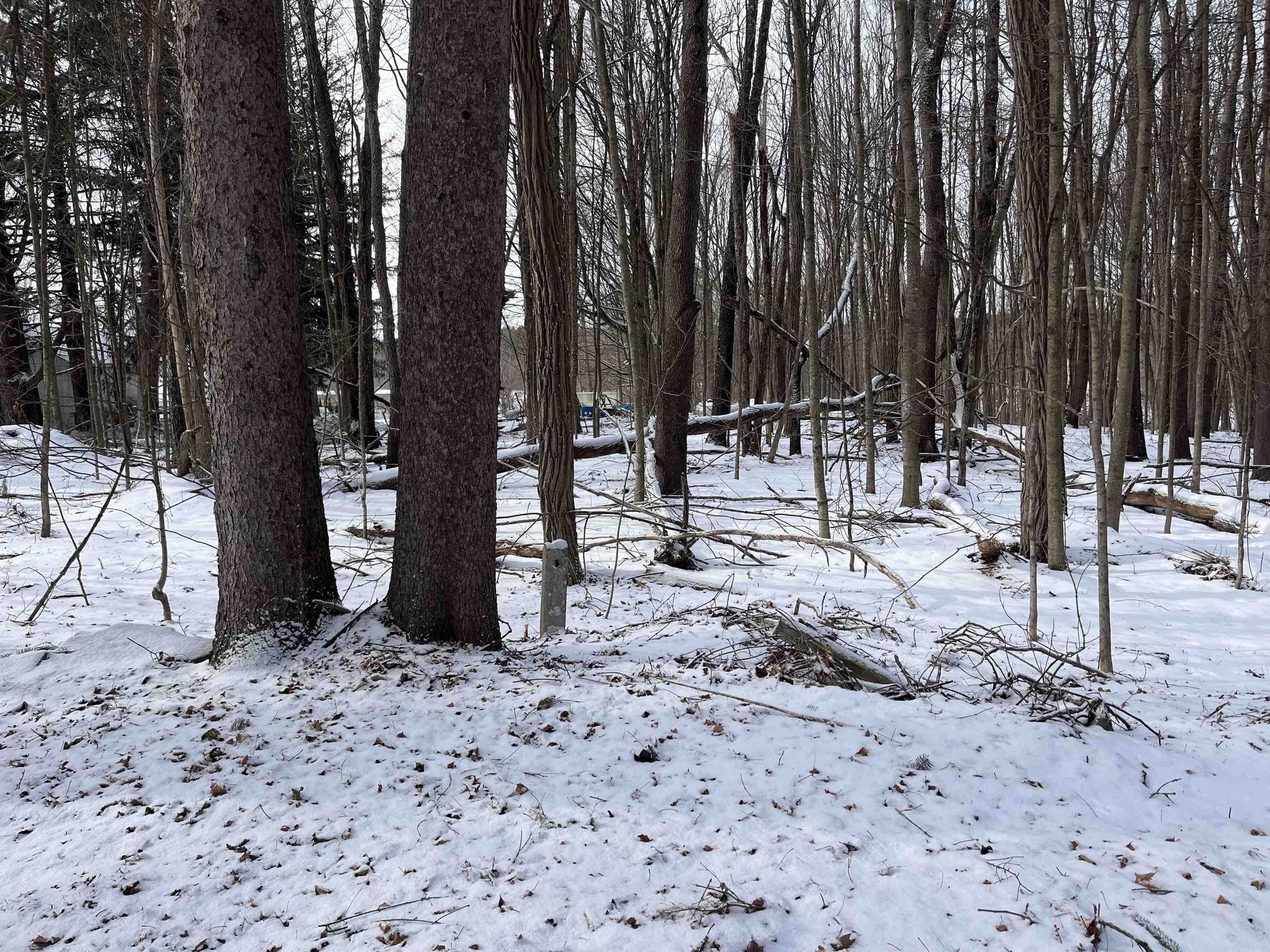 Homes for sale in Castleton, VT | 1068 Route 4A West, Castleton, VT 05735 | MLS# 5075170