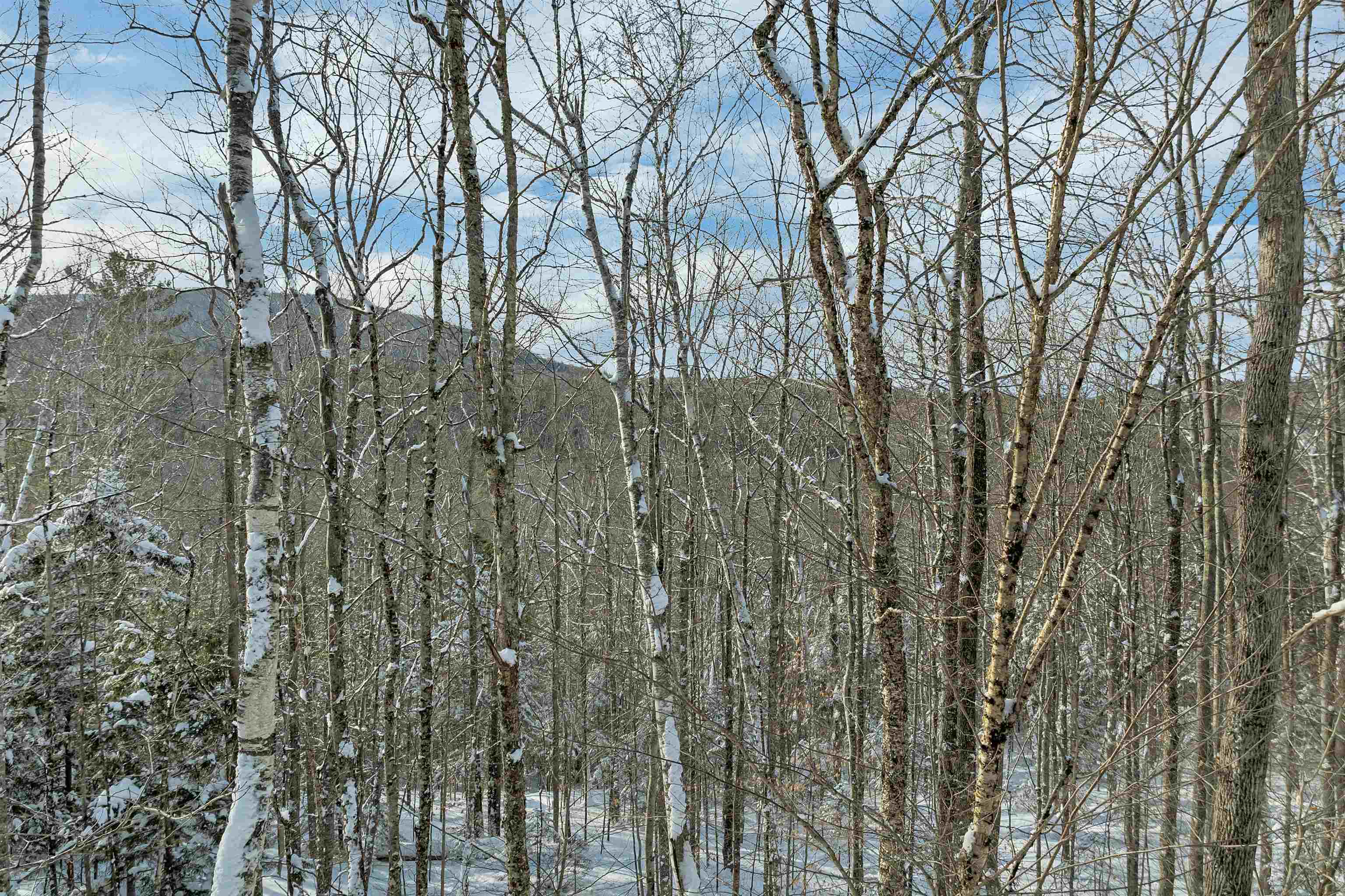 0 Breezy Point Rd, Warren, NH 03279