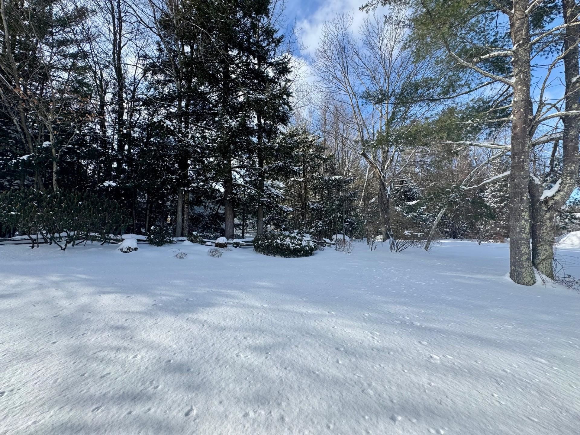 MLS #5075178 image #4