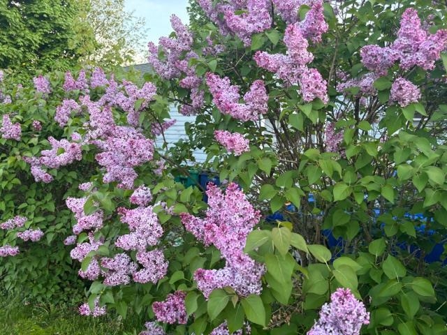 6 Rice Ter, Hampton, NH 03842