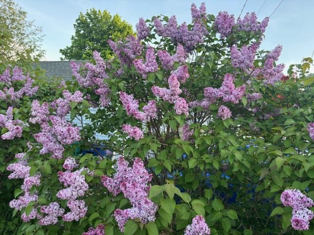 6 Rice Ter, Hampton, NH 03842