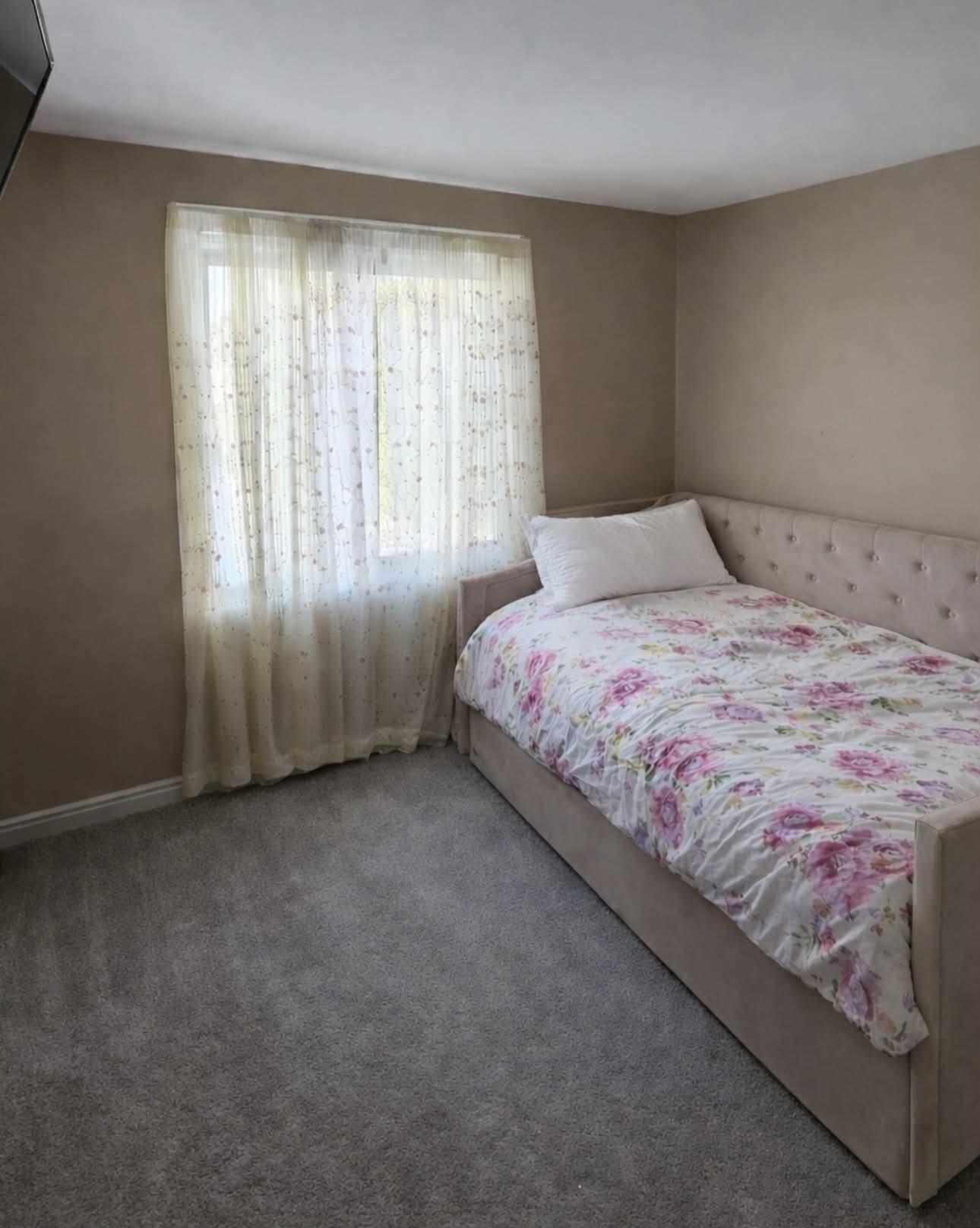 66 Hawke Ln, Danville, NH 03819