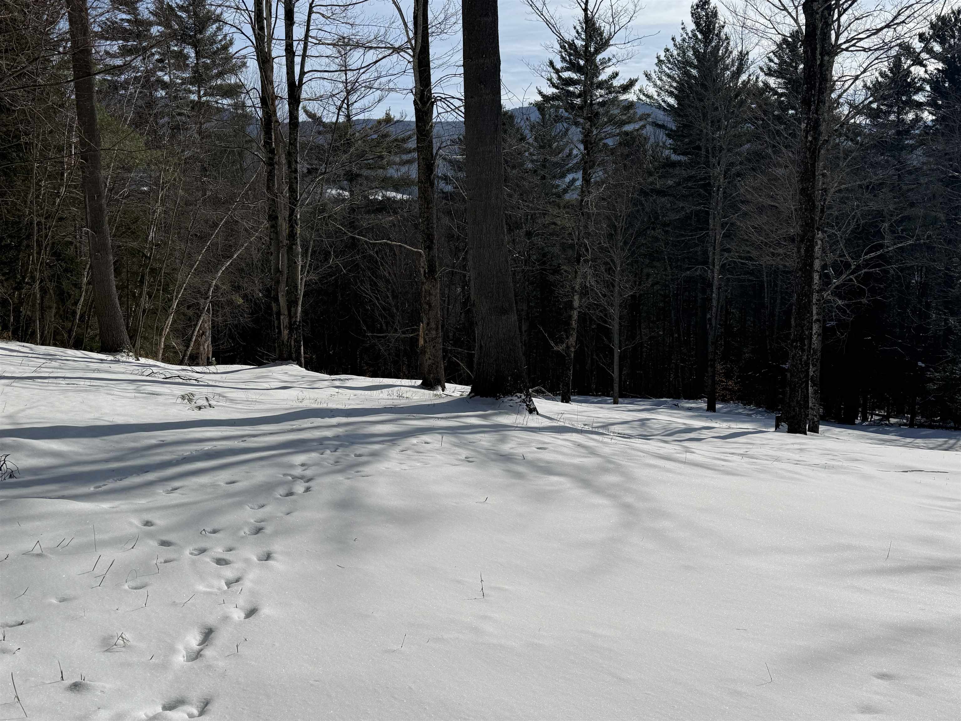 Homes for sale in Warren, VT | 00 Brook Rd, Warren, VT 05674 | MLS# 5075258