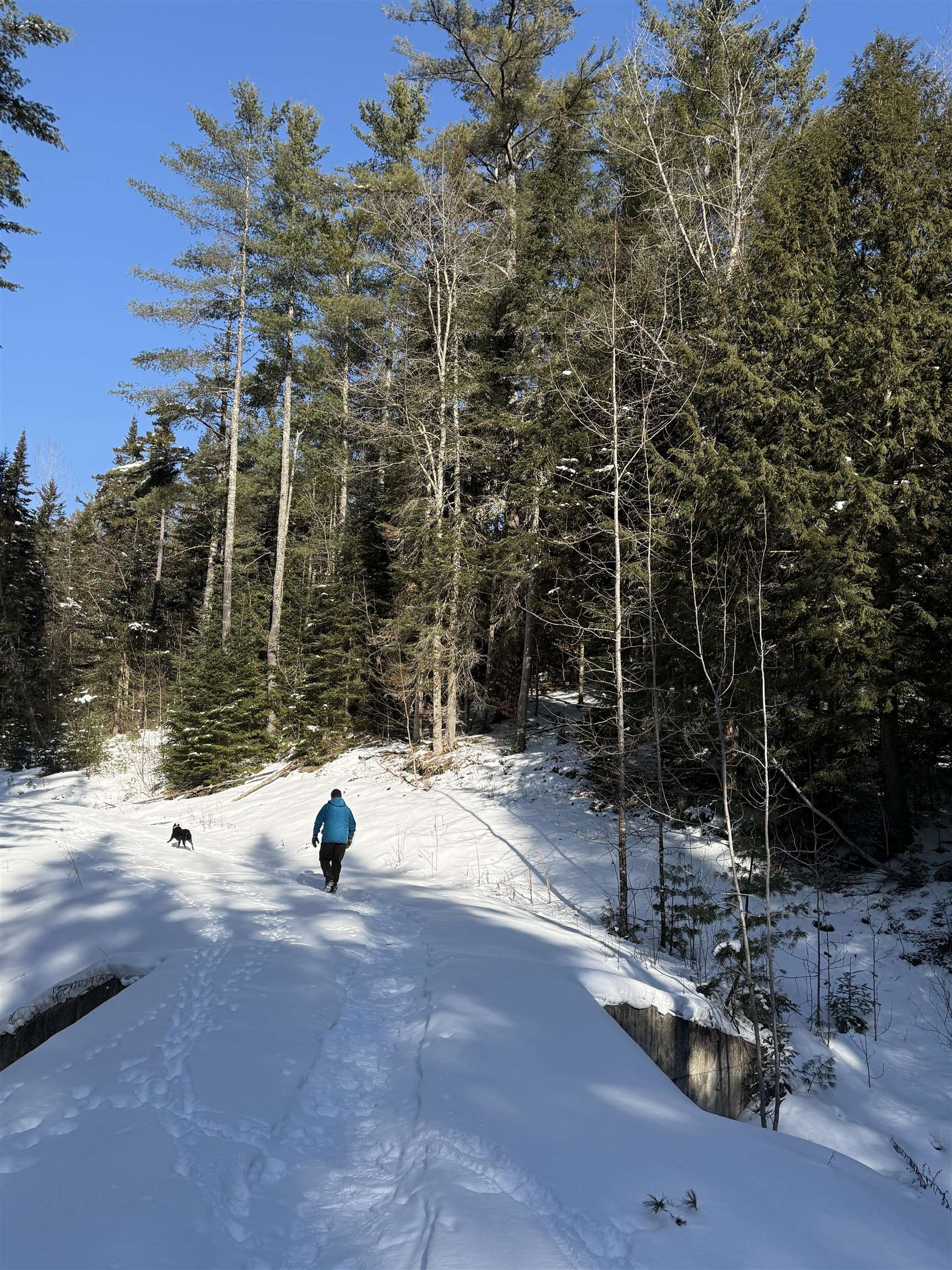 Homes for sale in Warren, VT | 00 Brook Rd, Warren, VT 05674 | MLS# 5075258