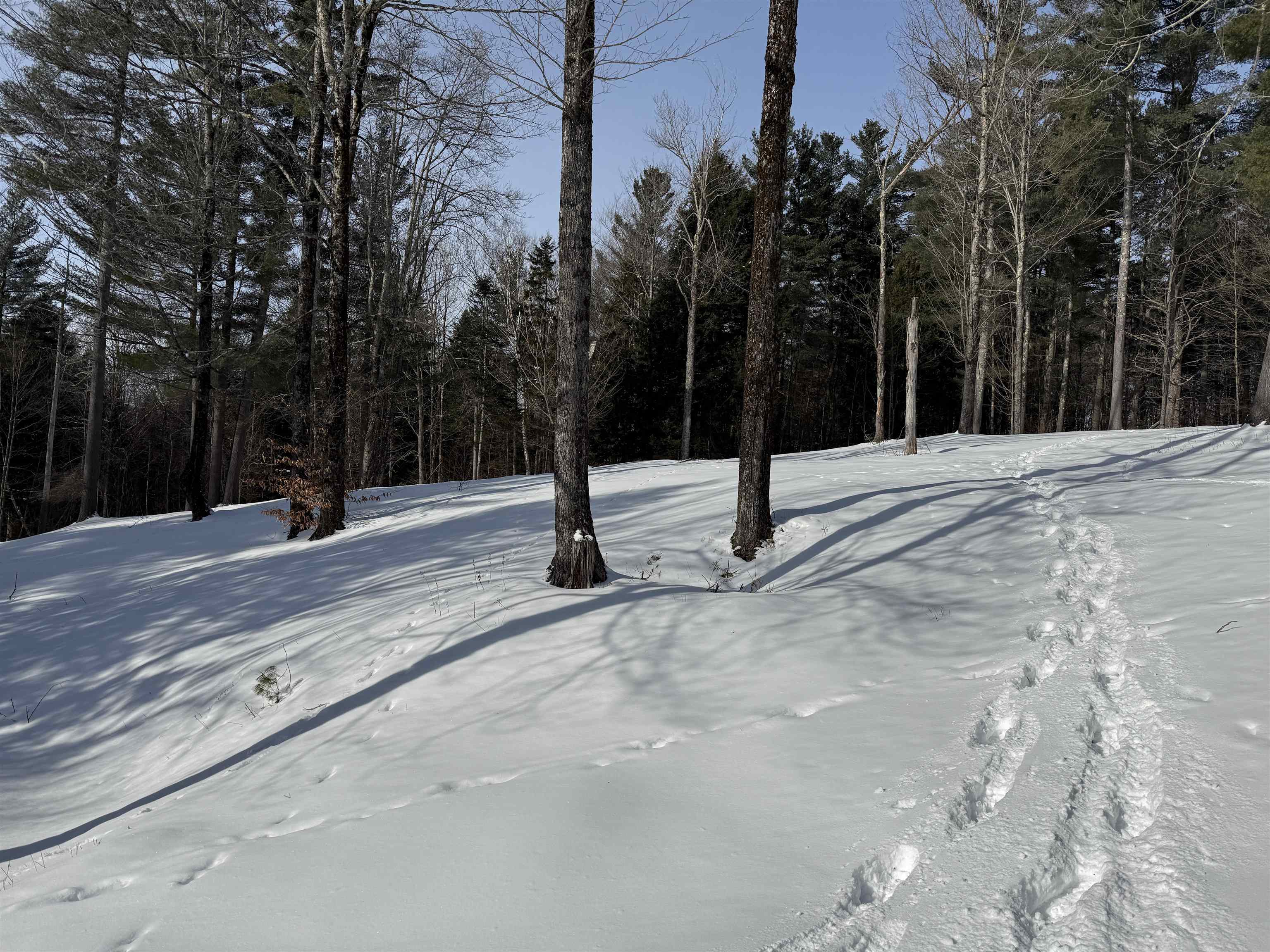 Homes for sale in Warren, VT | 00 Brook Rd, Warren, VT 05674 | MLS# 5075258