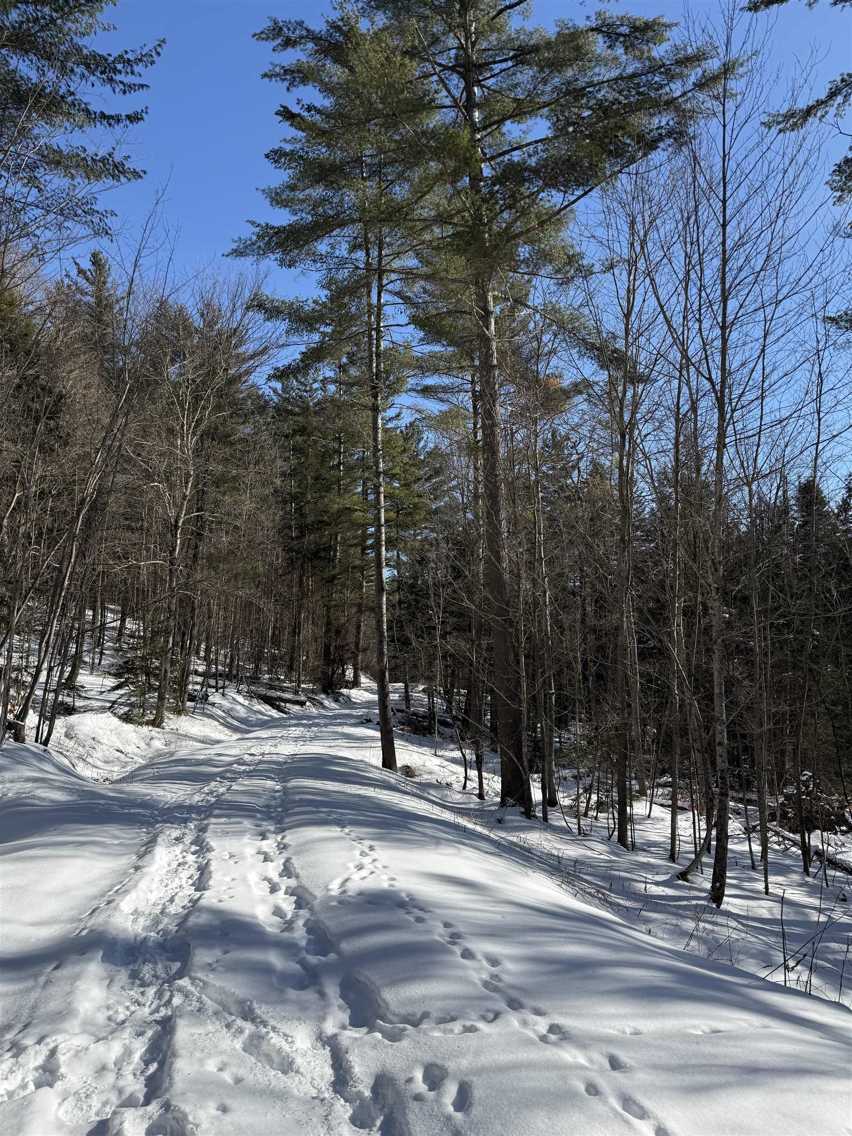 Homes for sale in Warren, VT | 00 Brook Rd, Warren, VT 05674 | MLS# 5075258