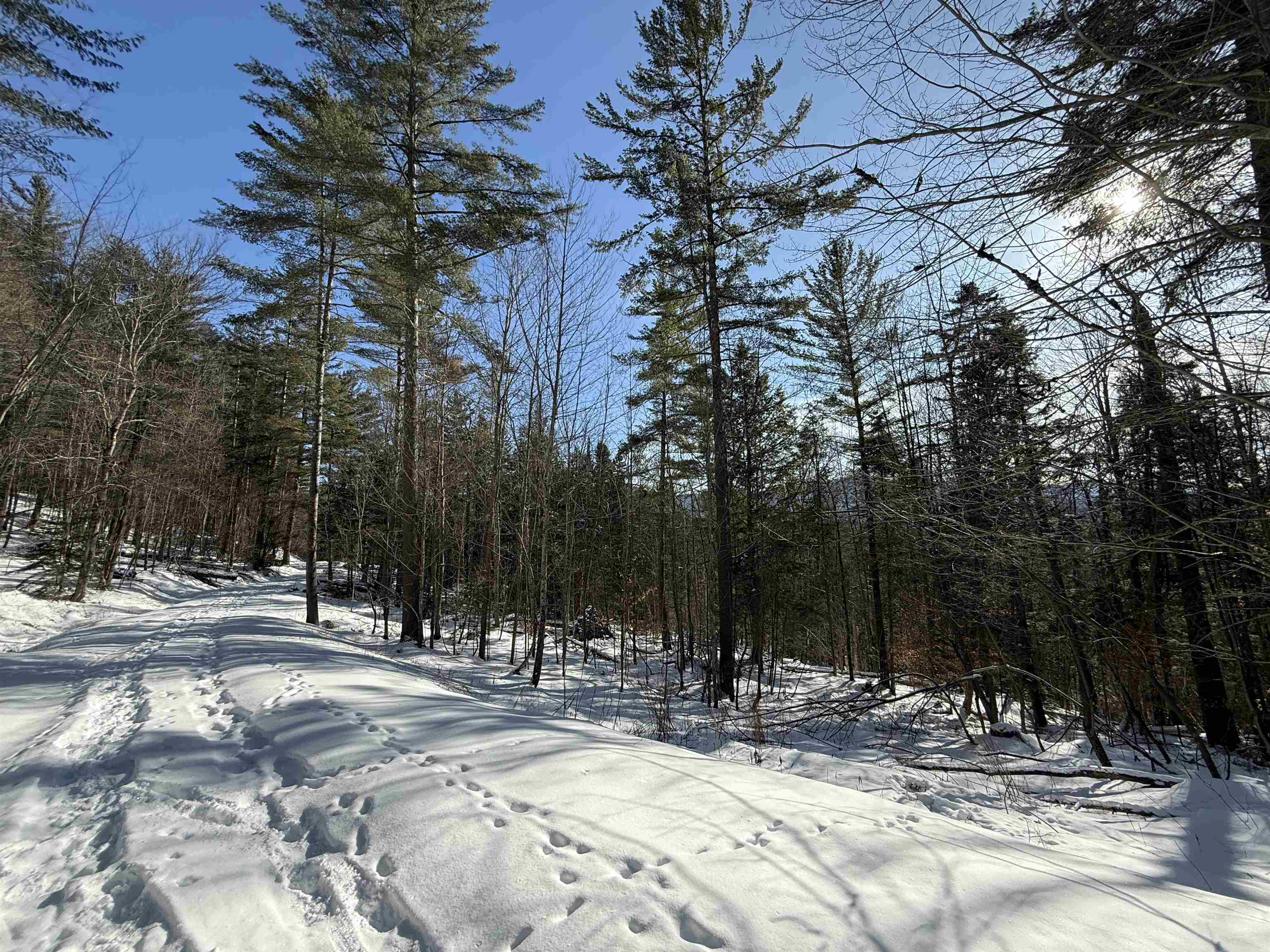 Homes for sale in Warren, VT | 00 Brook Rd, Warren, VT 05674 | MLS# 5075258