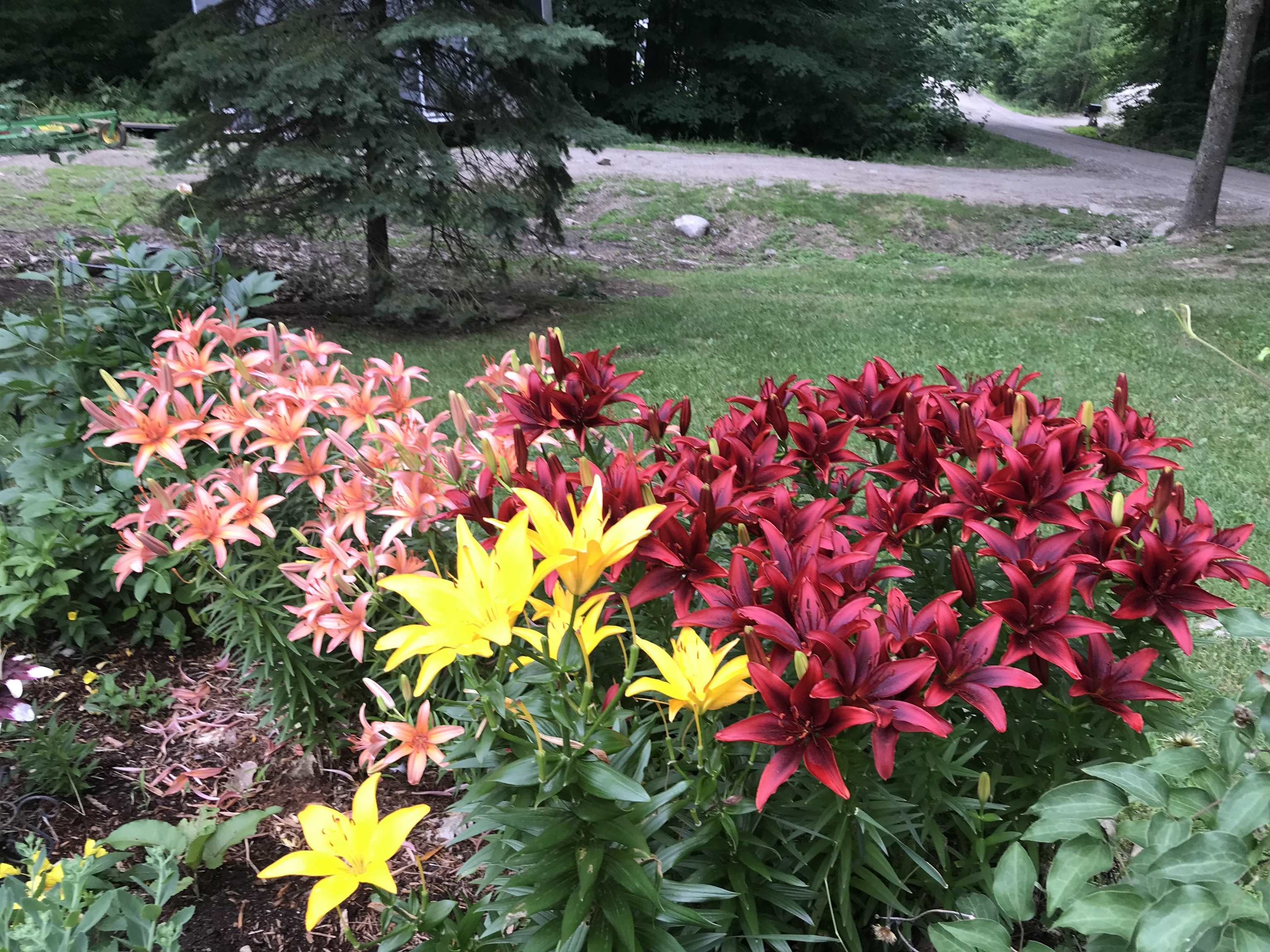 Homes for sale in Salisbury, VT | 2707 Upper Plains Rd, Salisbury, VT 05769 | MLS# 5075260