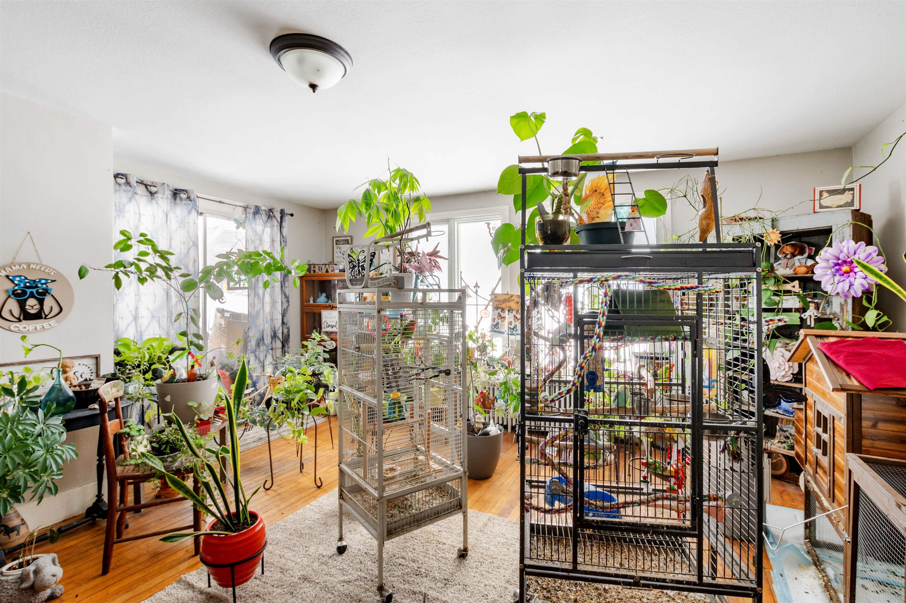 Homes for sale in Columbia, NH | 1813 Us 3, Columbia, NH 03576 | MLS# 5075266