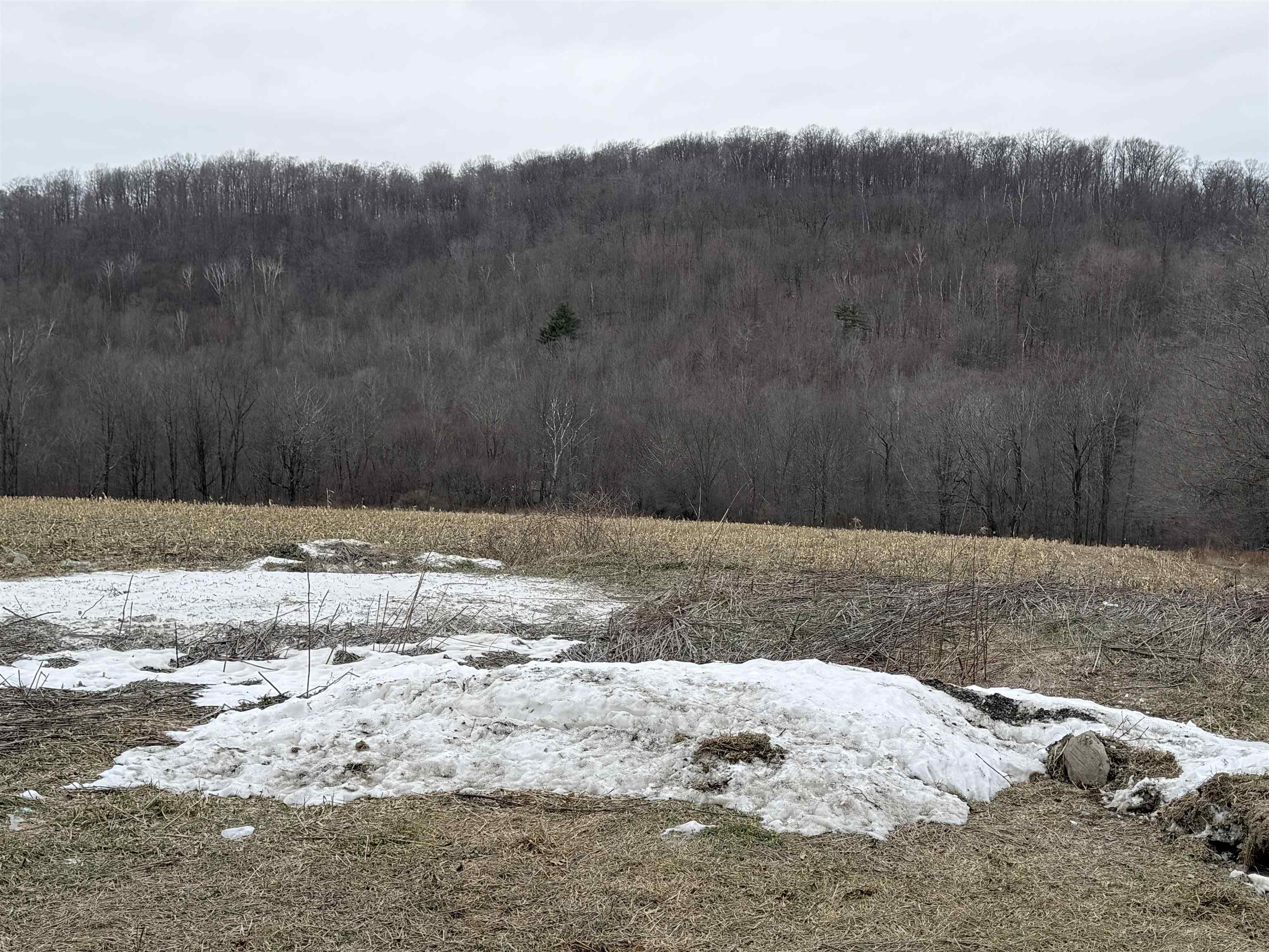 Homes for sale in Rupert, VT | 0 Suncrest Rd, Rupert, VT 05775 | MLS# 5075271