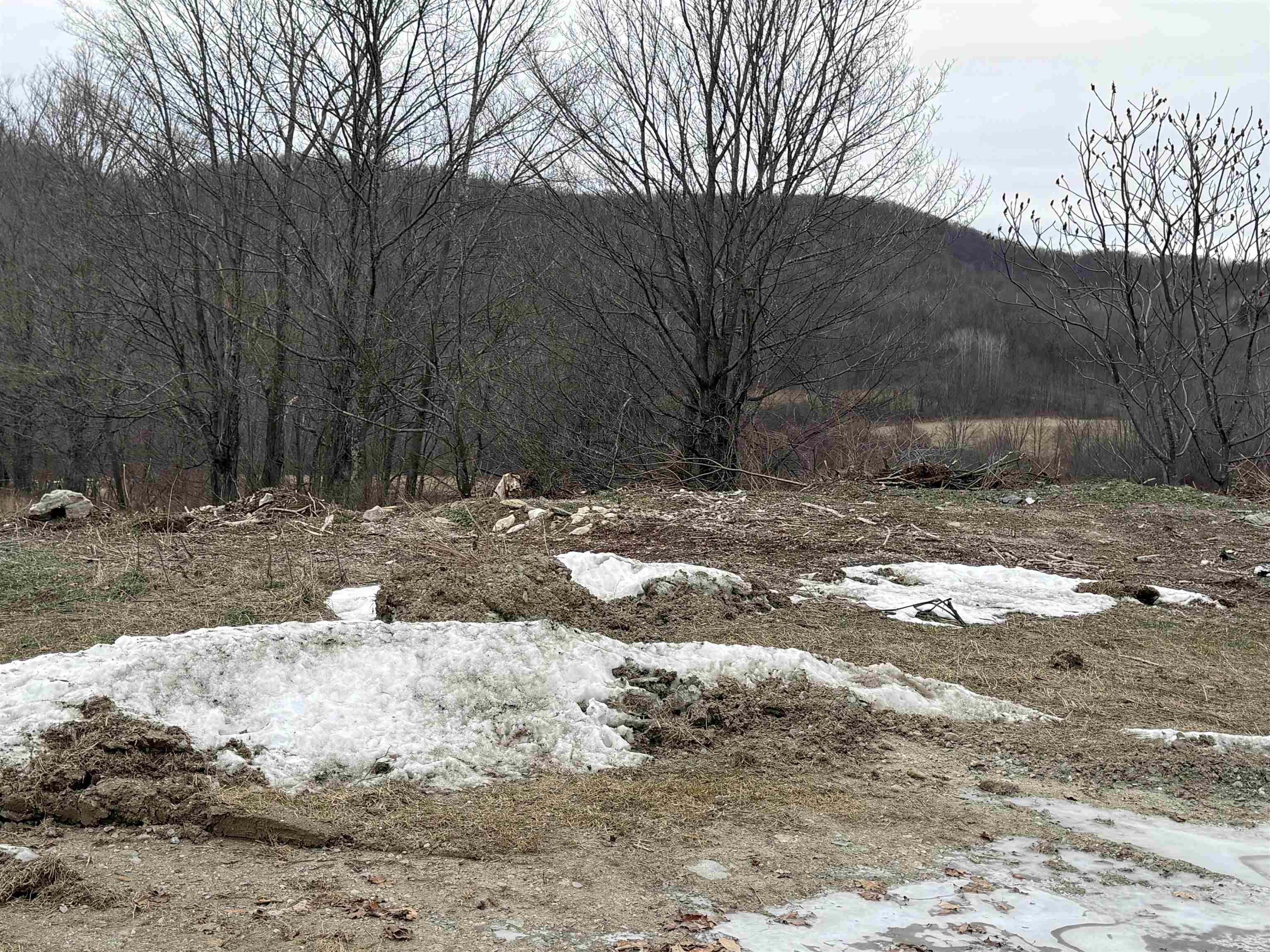 Homes for sale in Rupert, VT | 0 Suncrest Rd, Rupert, VT 05775 | MLS# 5075271