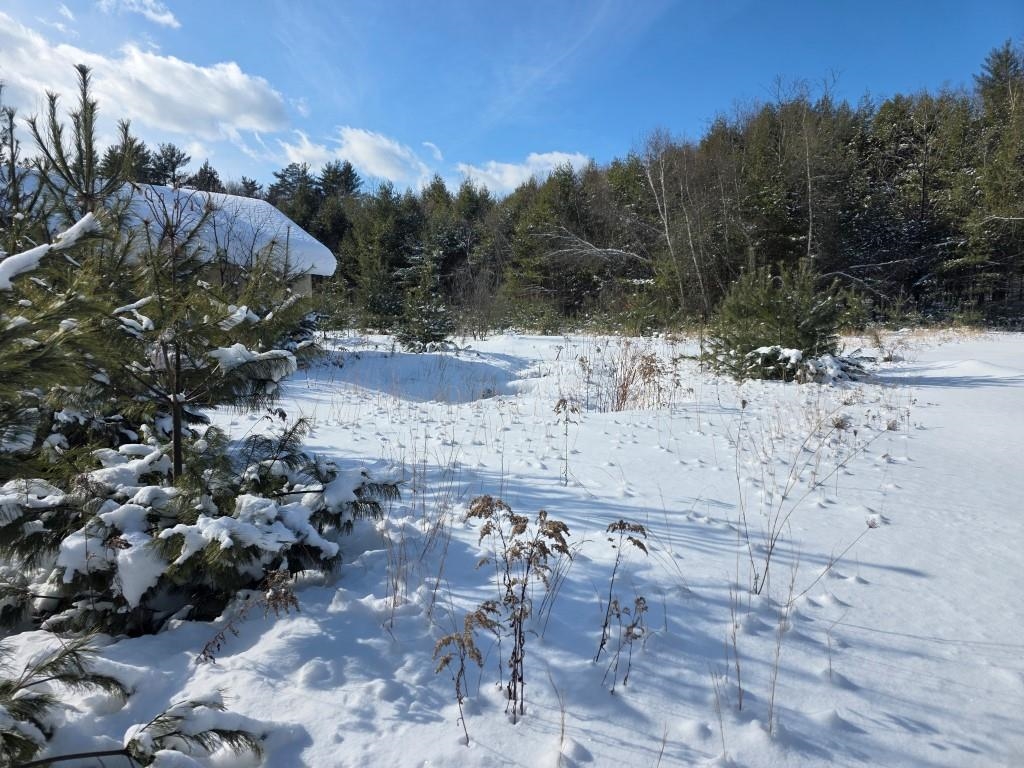 Homes for sale in Swanzey, NH | 108 Kempton Rd, Swanzey, NH 03446 | MLS# 5075280