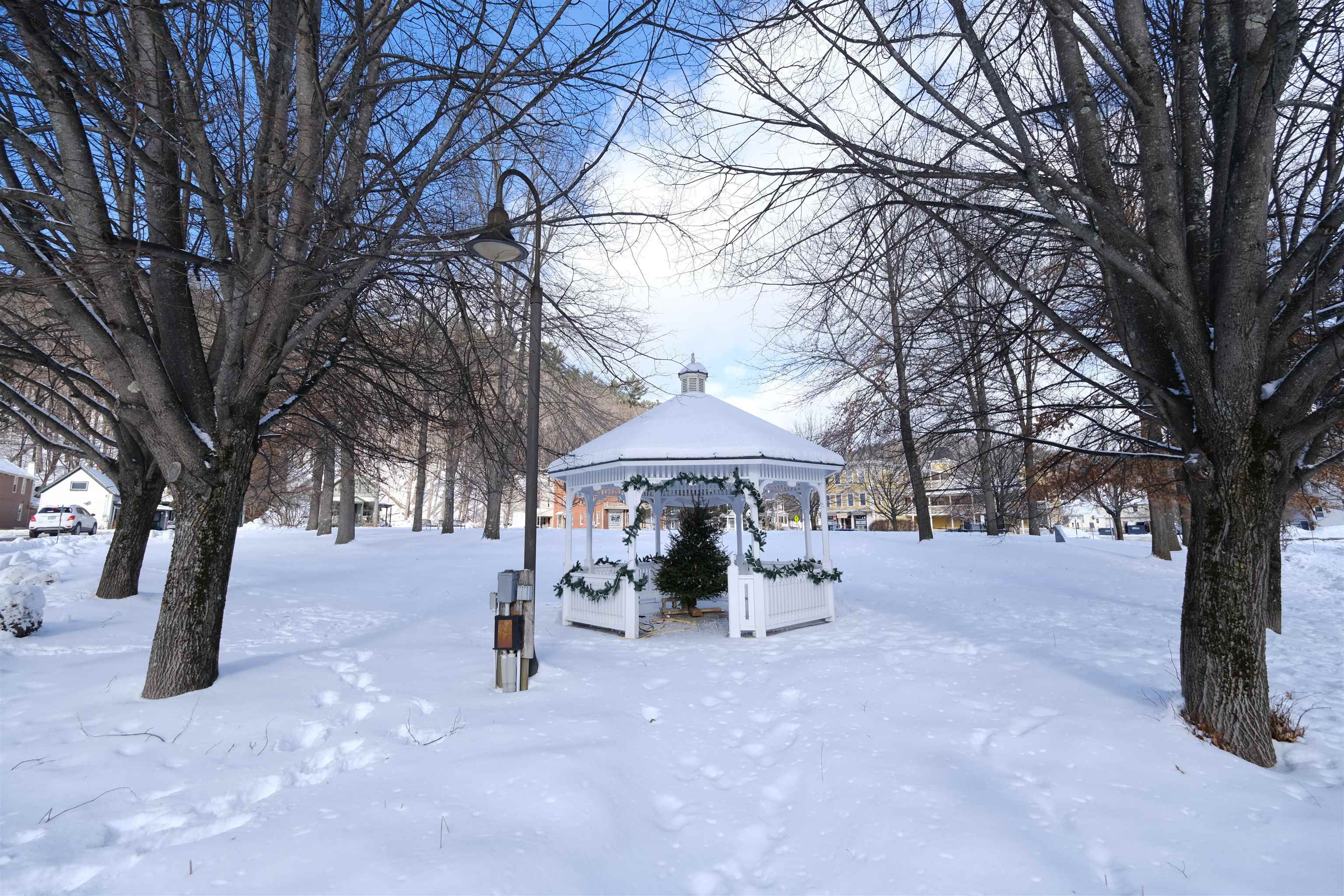Cavendish Town Green 24660671