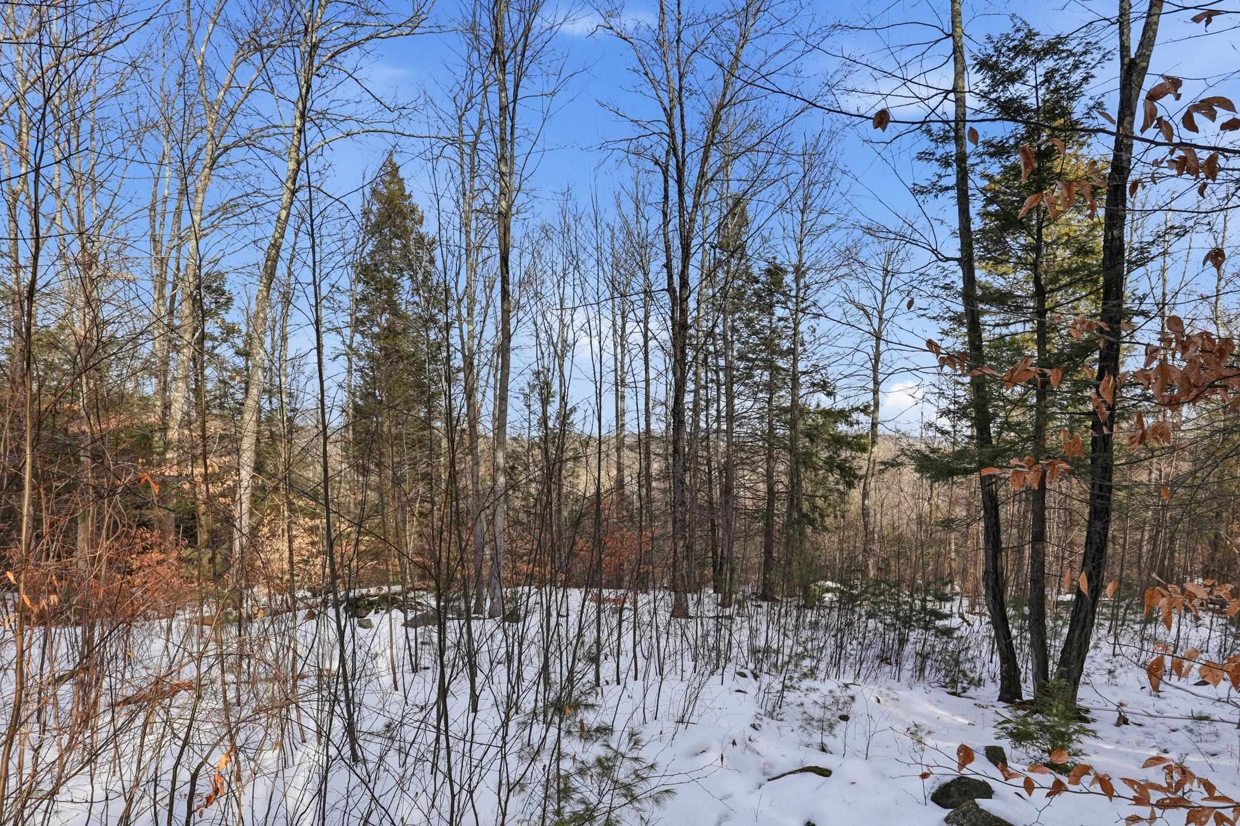 Mountain view from upper part of lot
