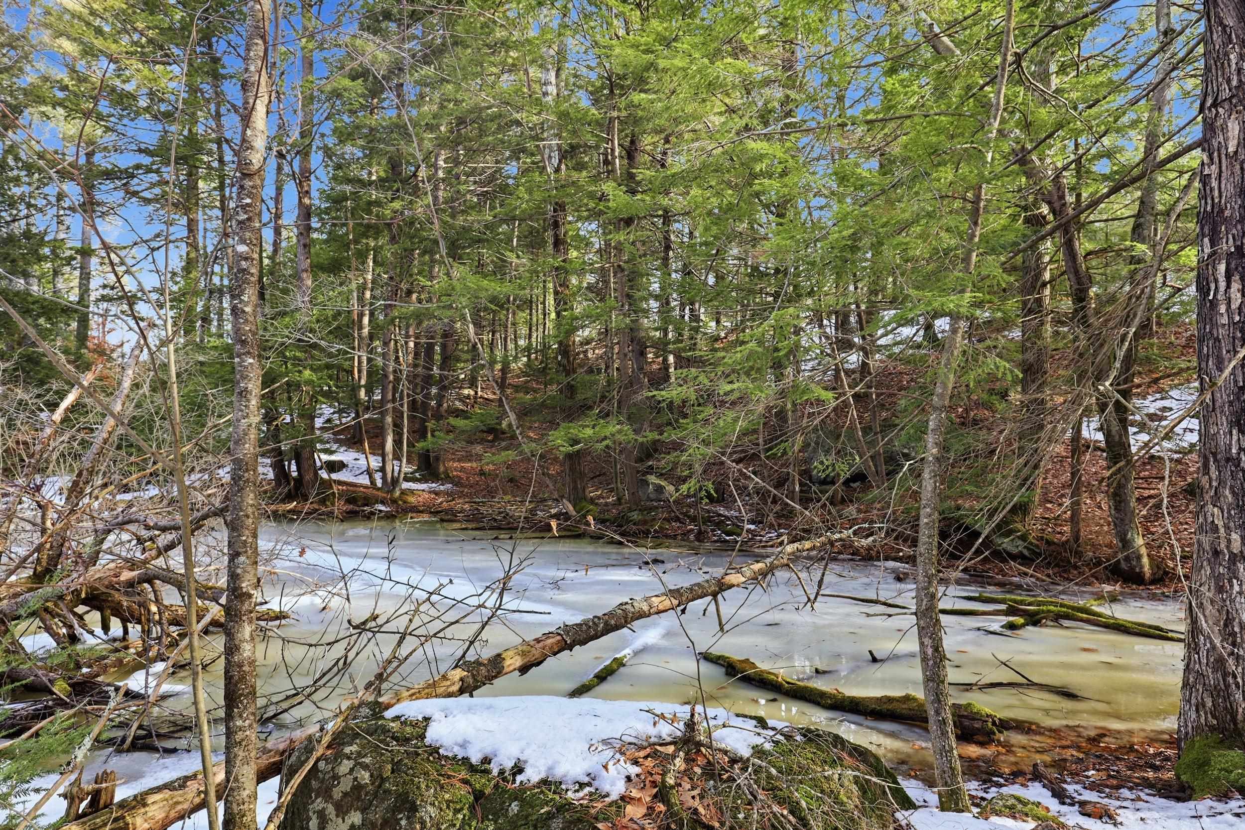 Pond on the upper level of the lot