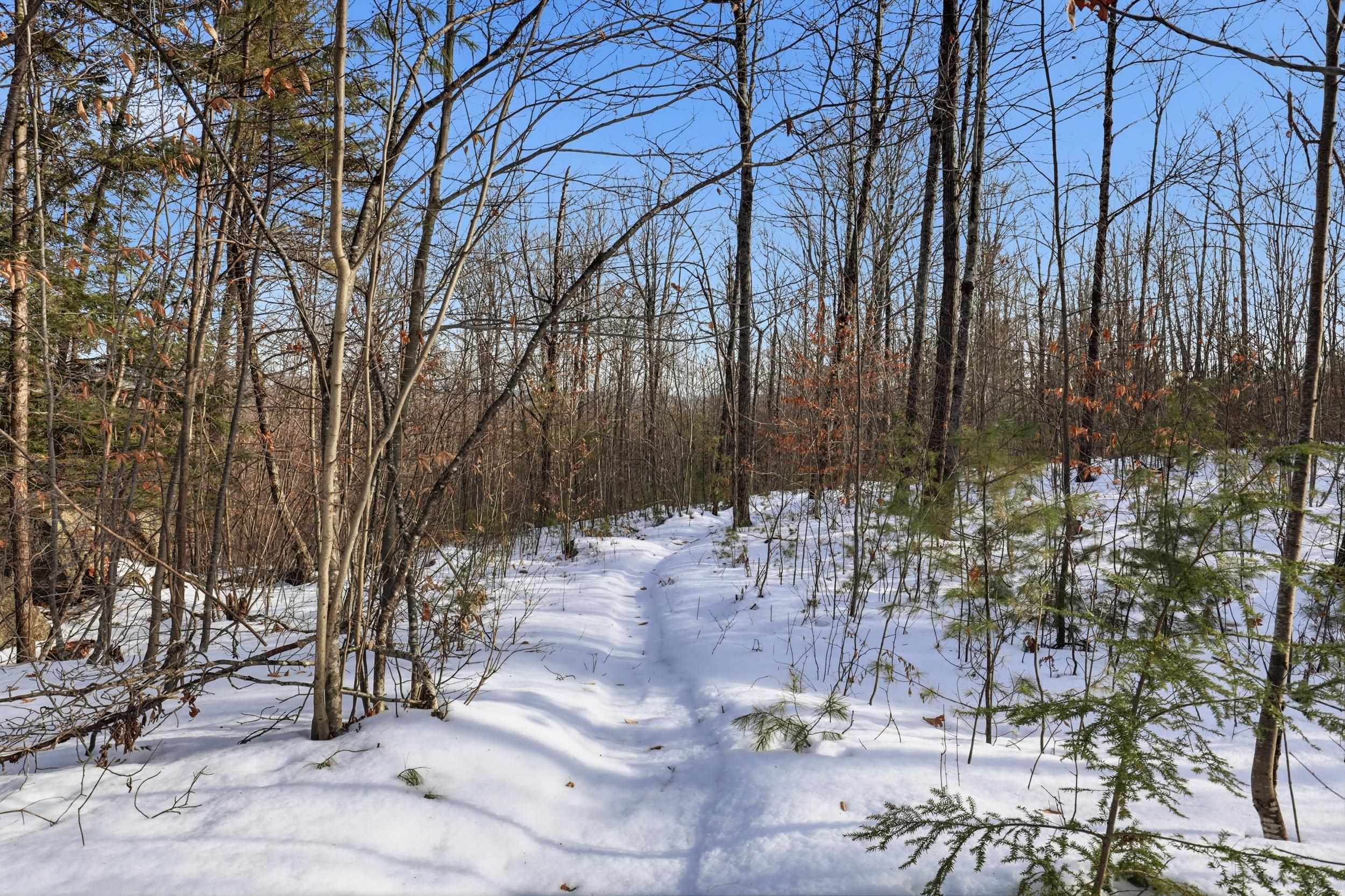 Hiking trail