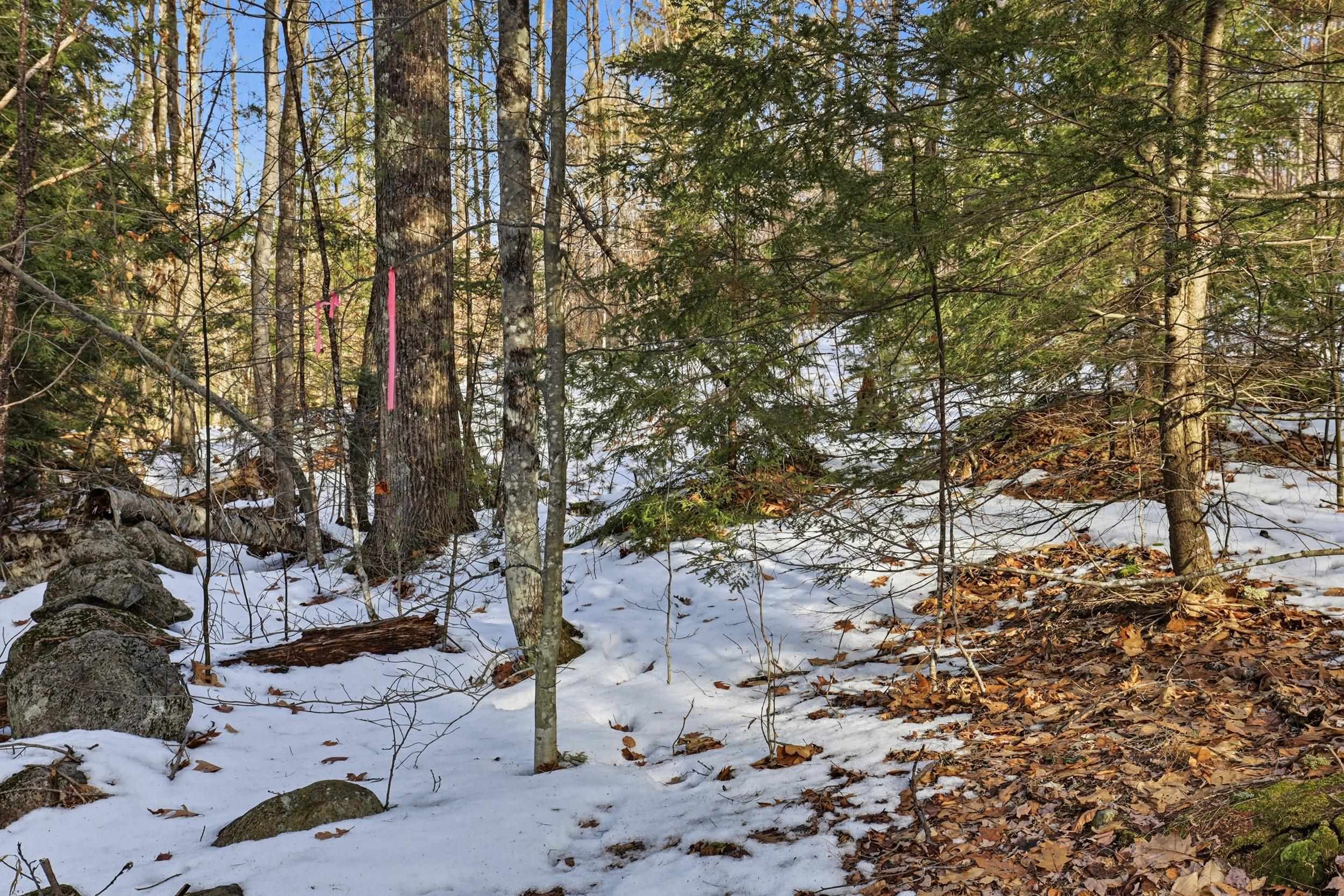 Note the pink flag marking a boundary line