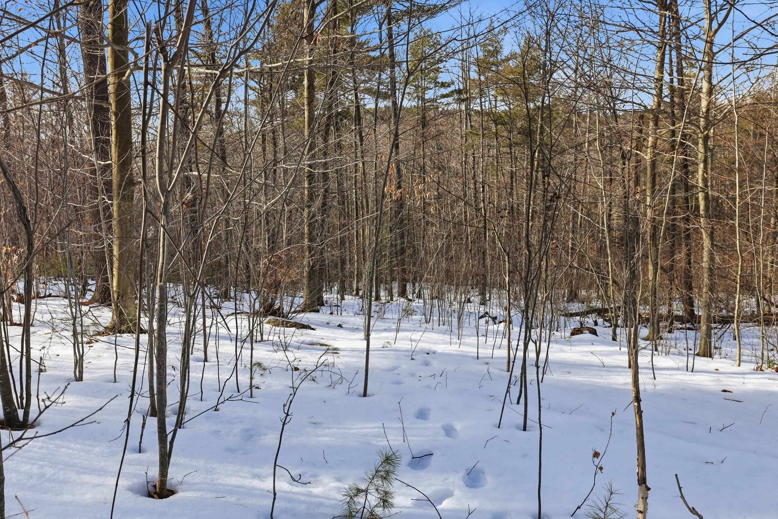 The Town of Henniker allows for many possible uses of the property